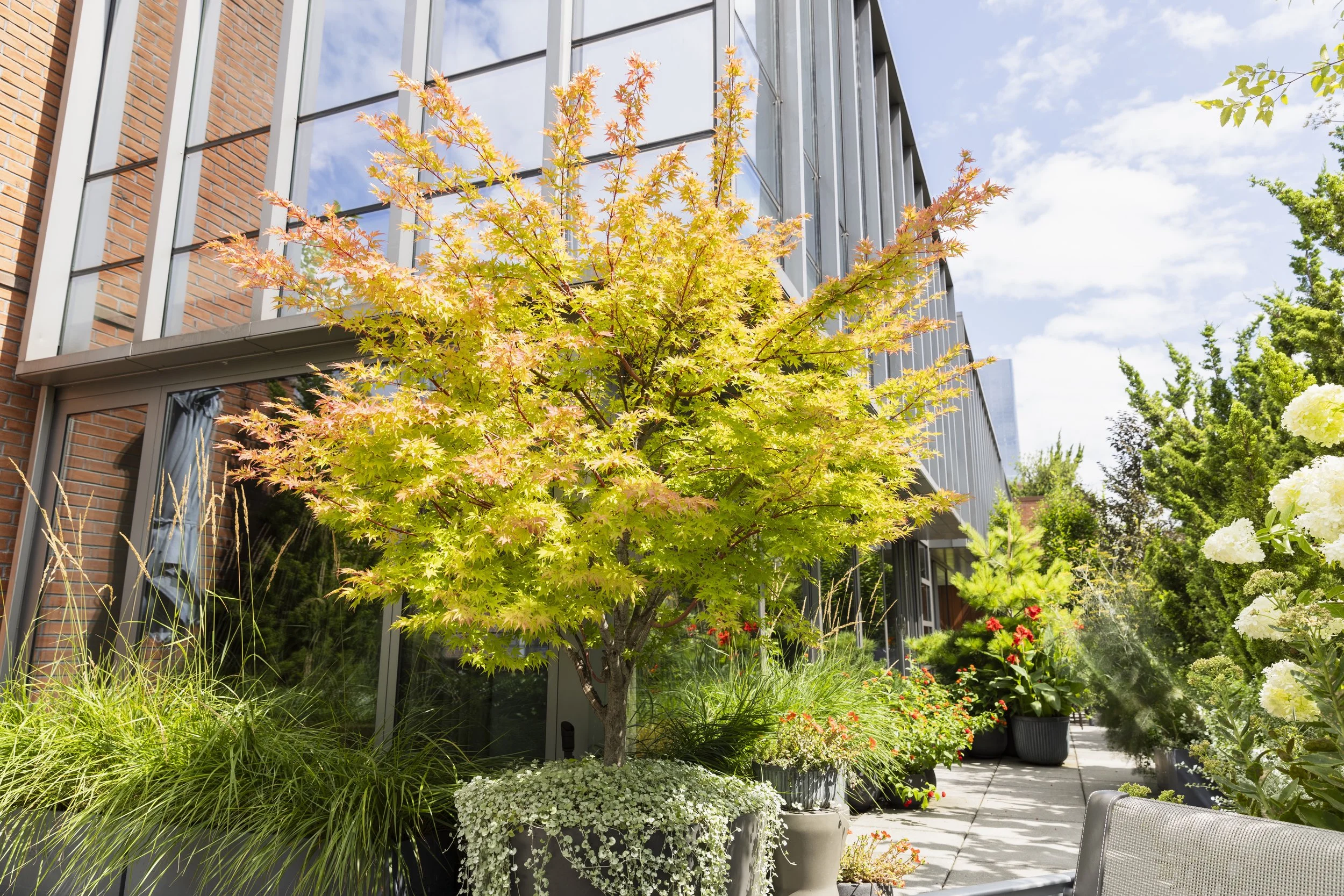 Chelsea Penthouse Brooklyn NY Landscape Designer Urbangreen 