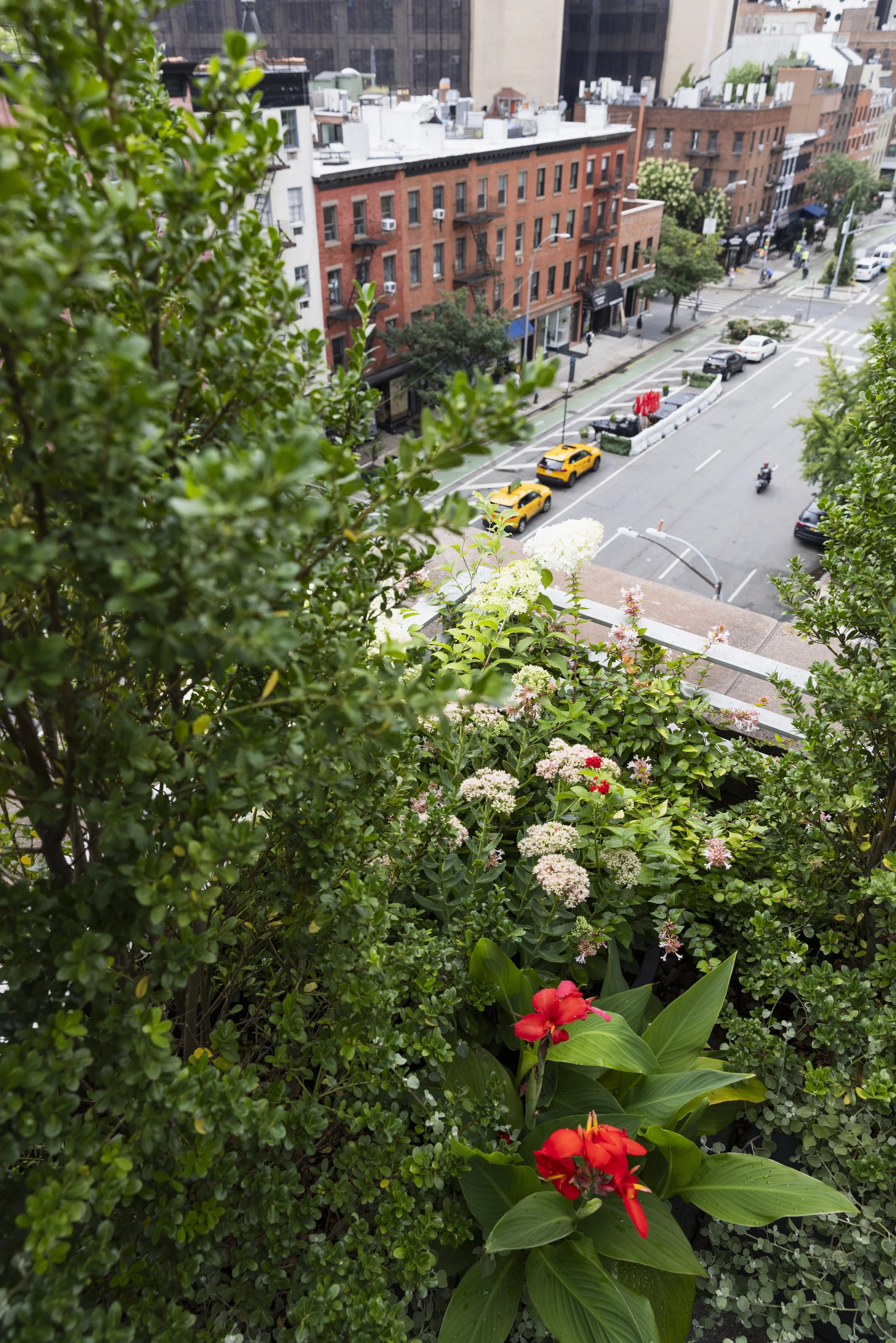 Chelsea Penthouse Brooklyn NY Landscape Designer Urbangreen 