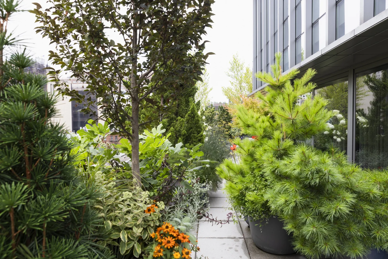 Image showcasing Chelsea Penthouse | Brooklyn, NY Landscape Designer | Urbangreen ...