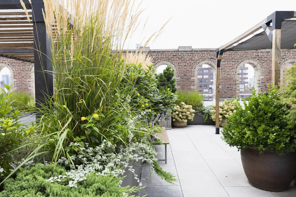 Union Rooftop Layout Union Square Rooftop | Brooklyn, NY Landscape Designer | Urbangreen ...