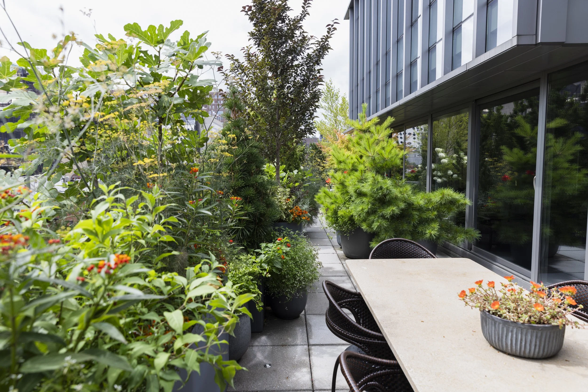 Chelsea Penthouse Brooklyn NY Landscape Designer Urbangreen 