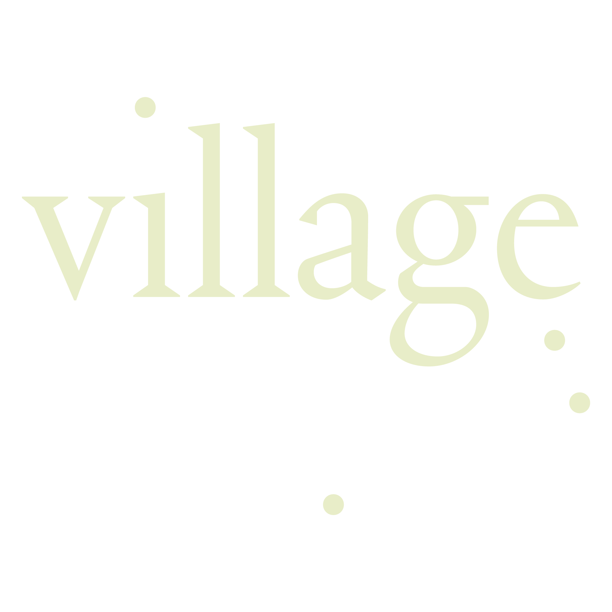 Village South Belfast