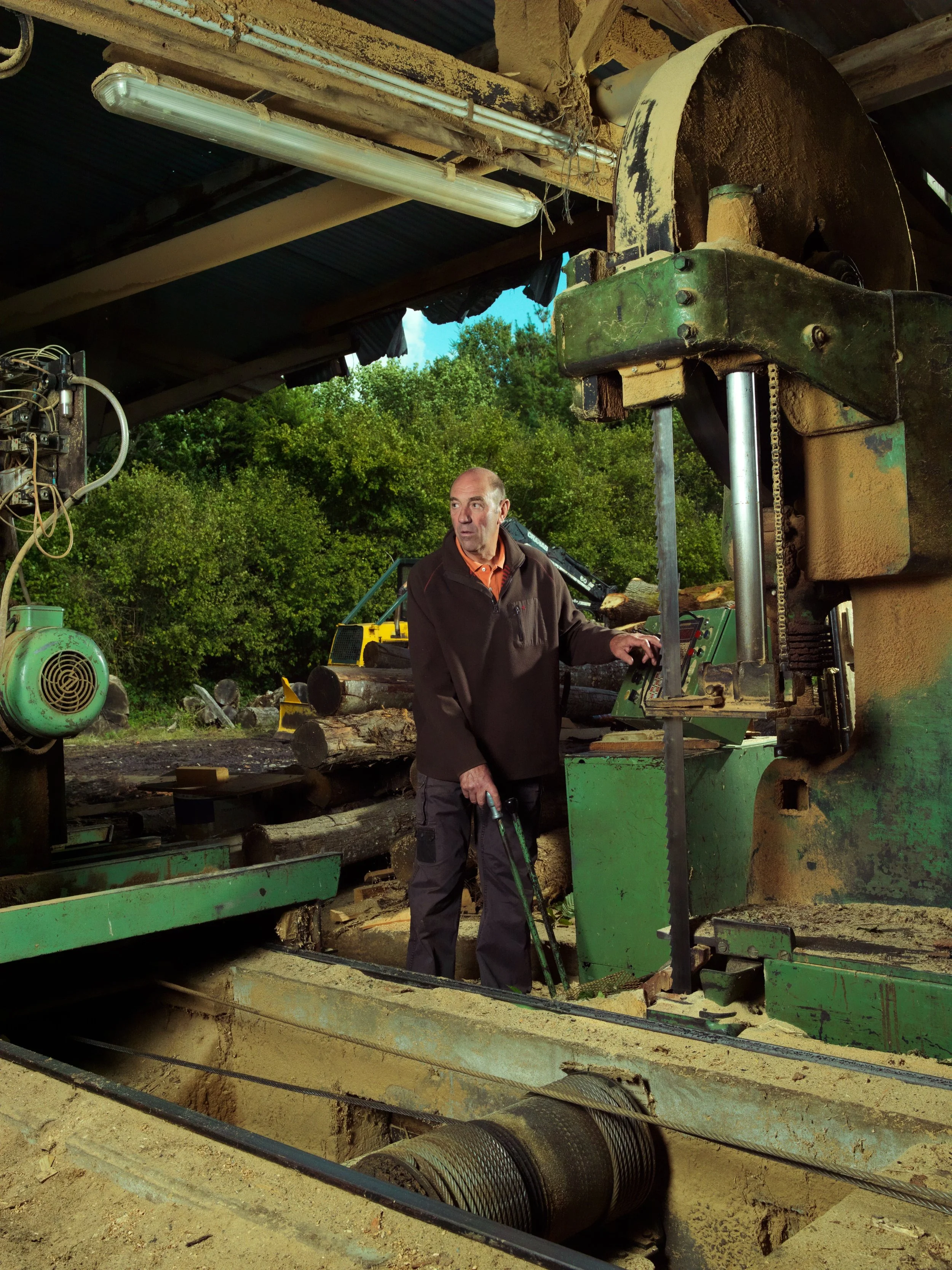 La Forêt B_LAPLACE_B_1275321.jpg