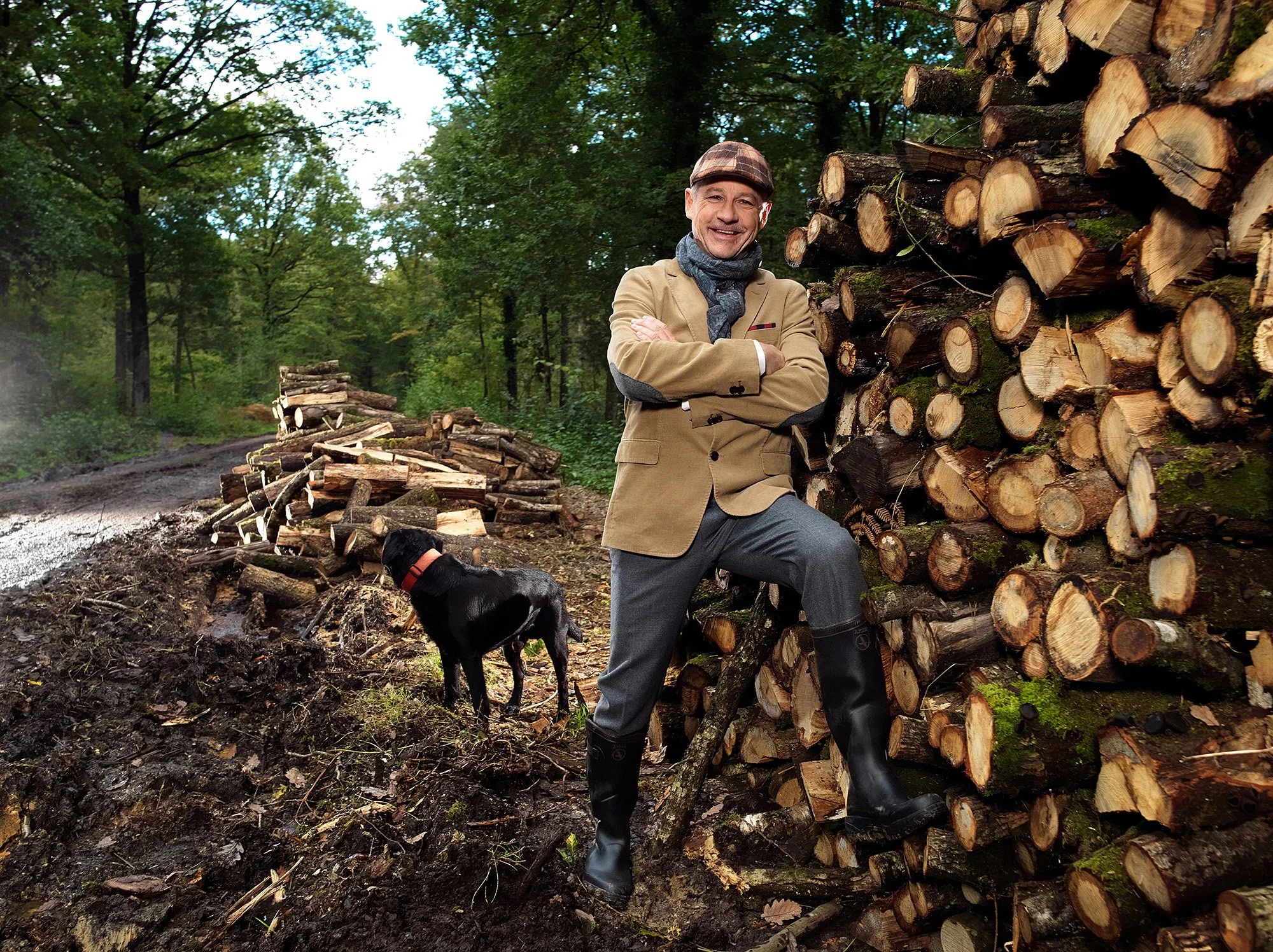 La Forêt B_MONTHUIR_B_1276931.jpg