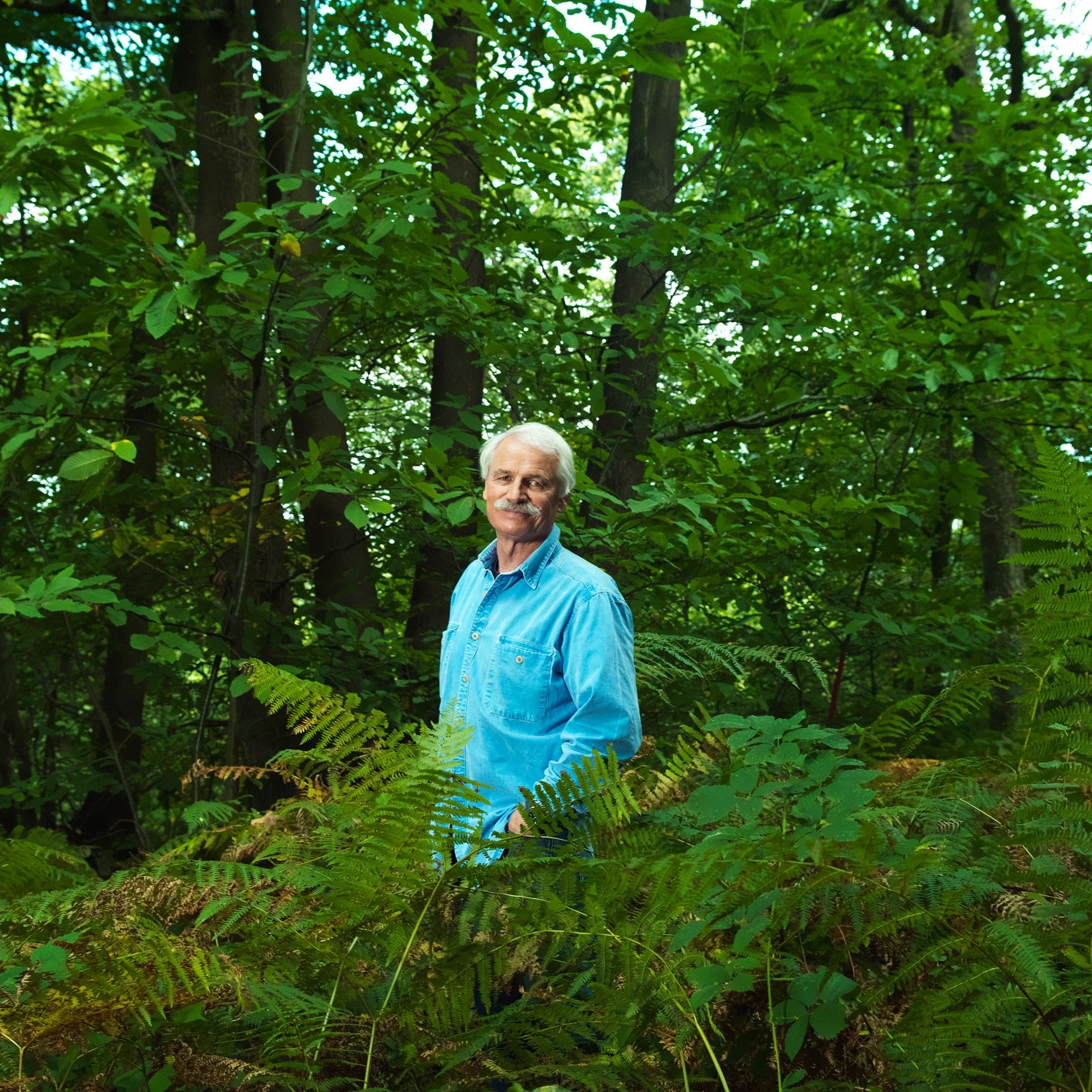 YAB_B_1275402 copie.jpg