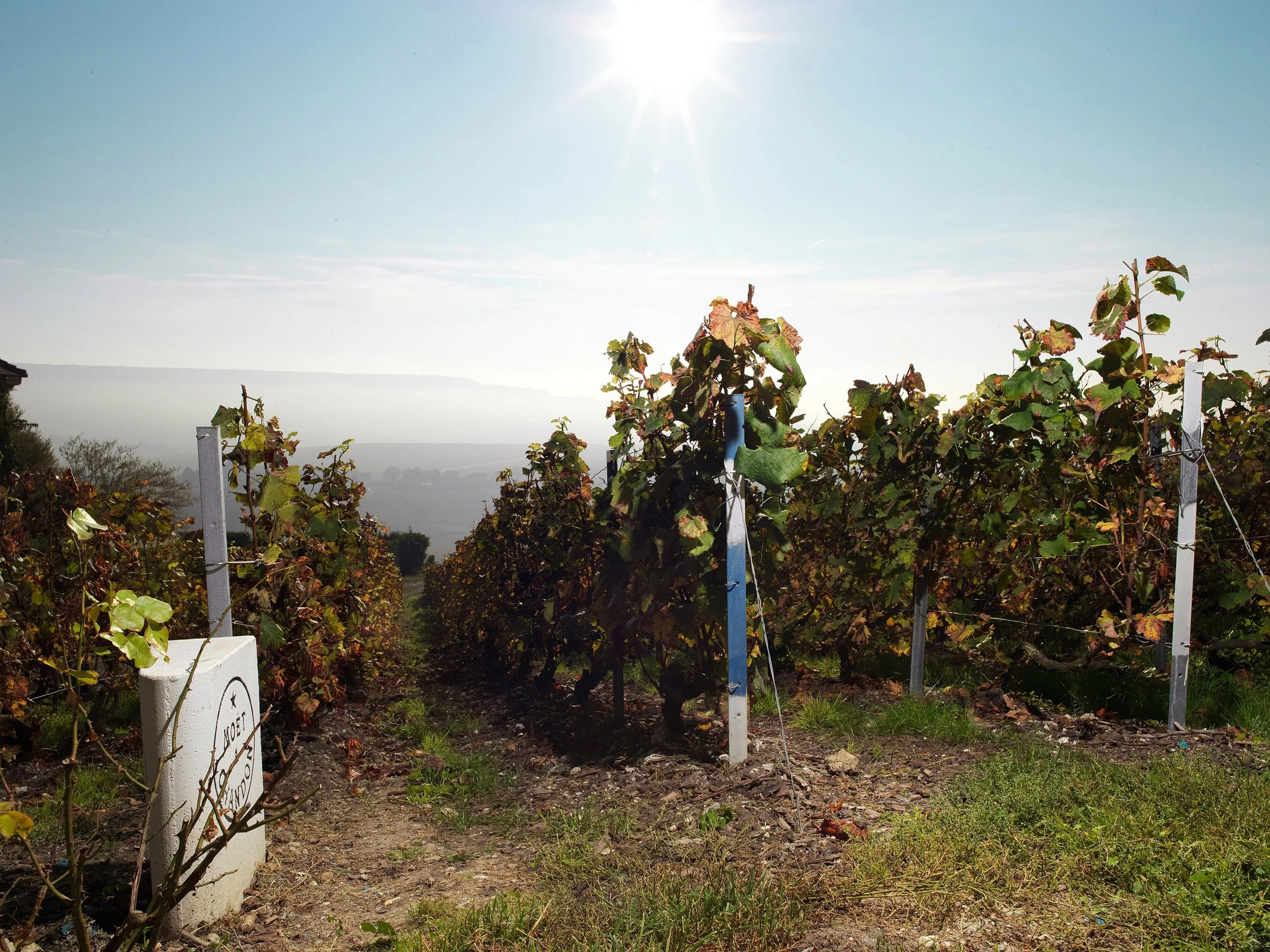 Dom Pérignon_0002.jpg