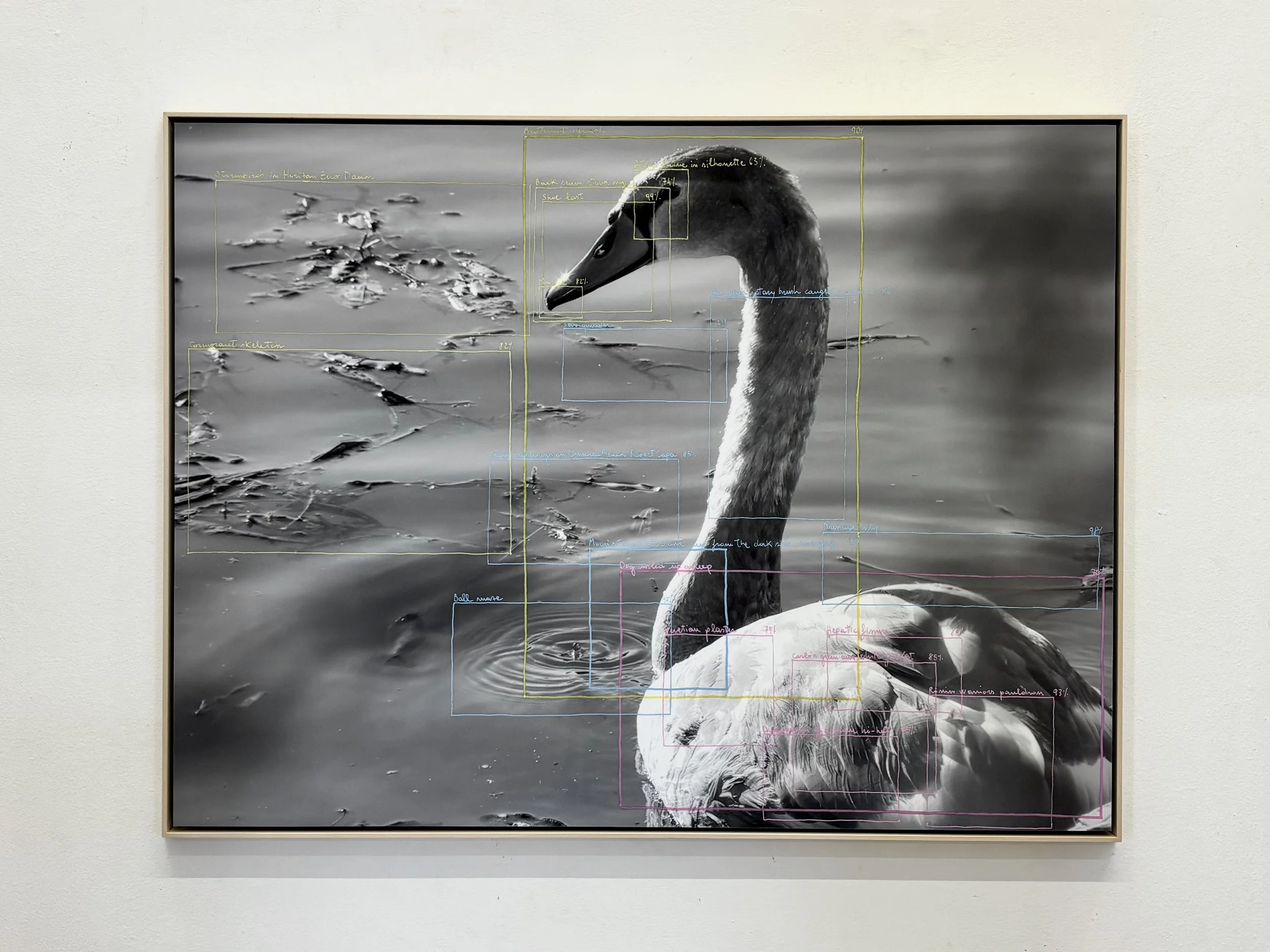 Alessandro Sambini, The Nervous System - Second Room, Cigno (2026)