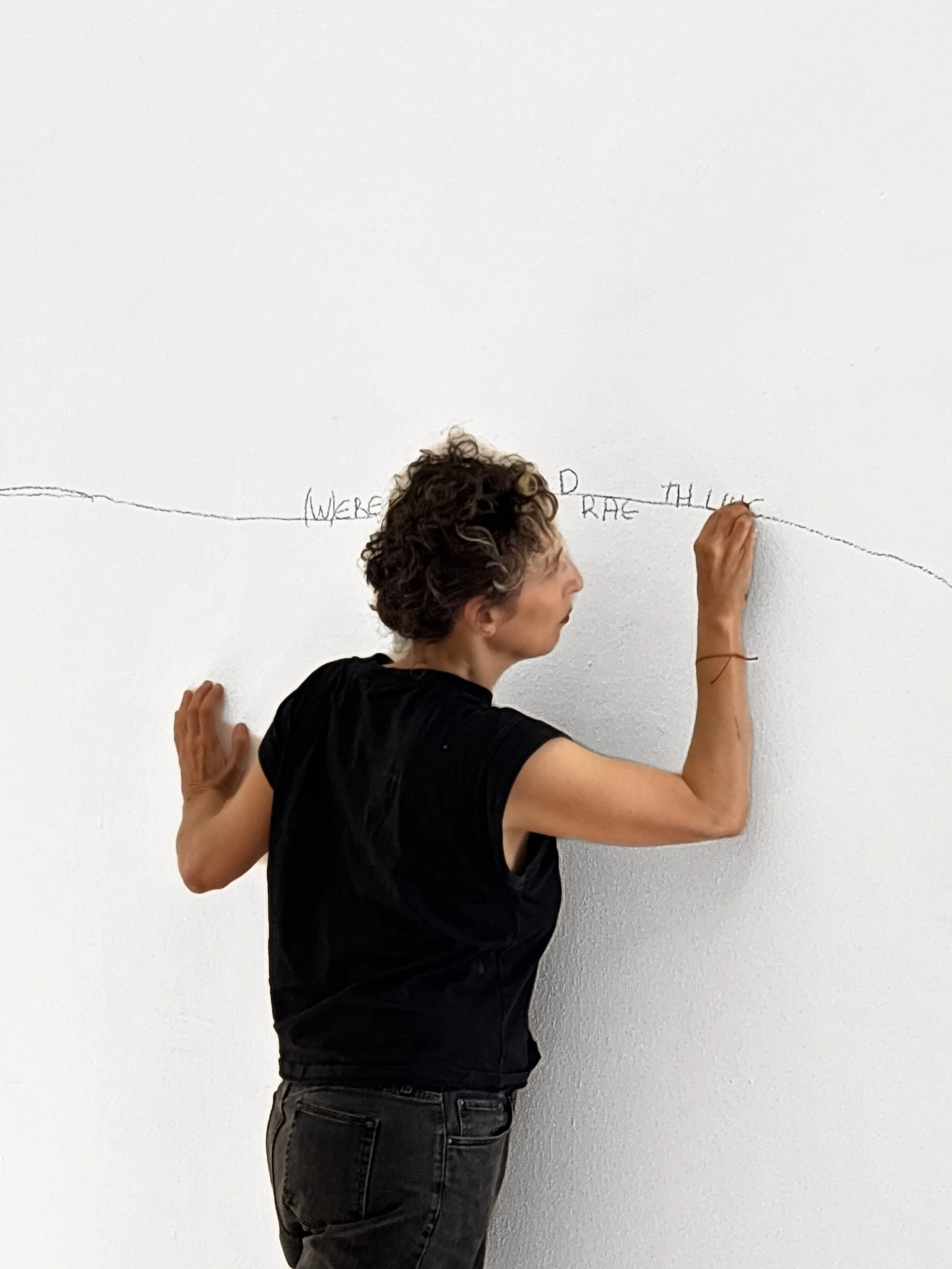 Ofri Cnaani, Where do we draw the line?, performance at MLZ