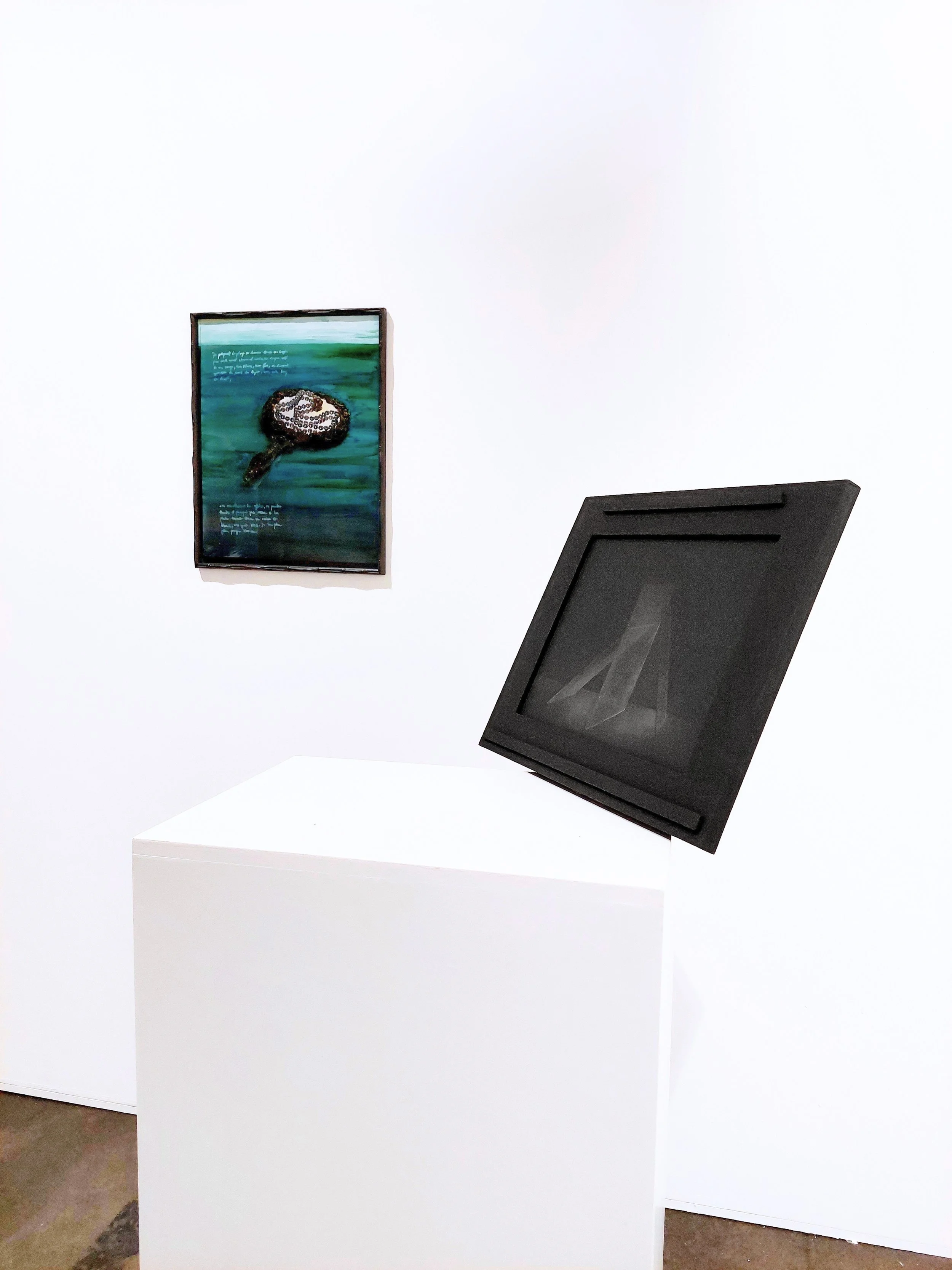 Art Rotterdam 2026, Anaïs Horn and Sergio Scabar's works, Installation view