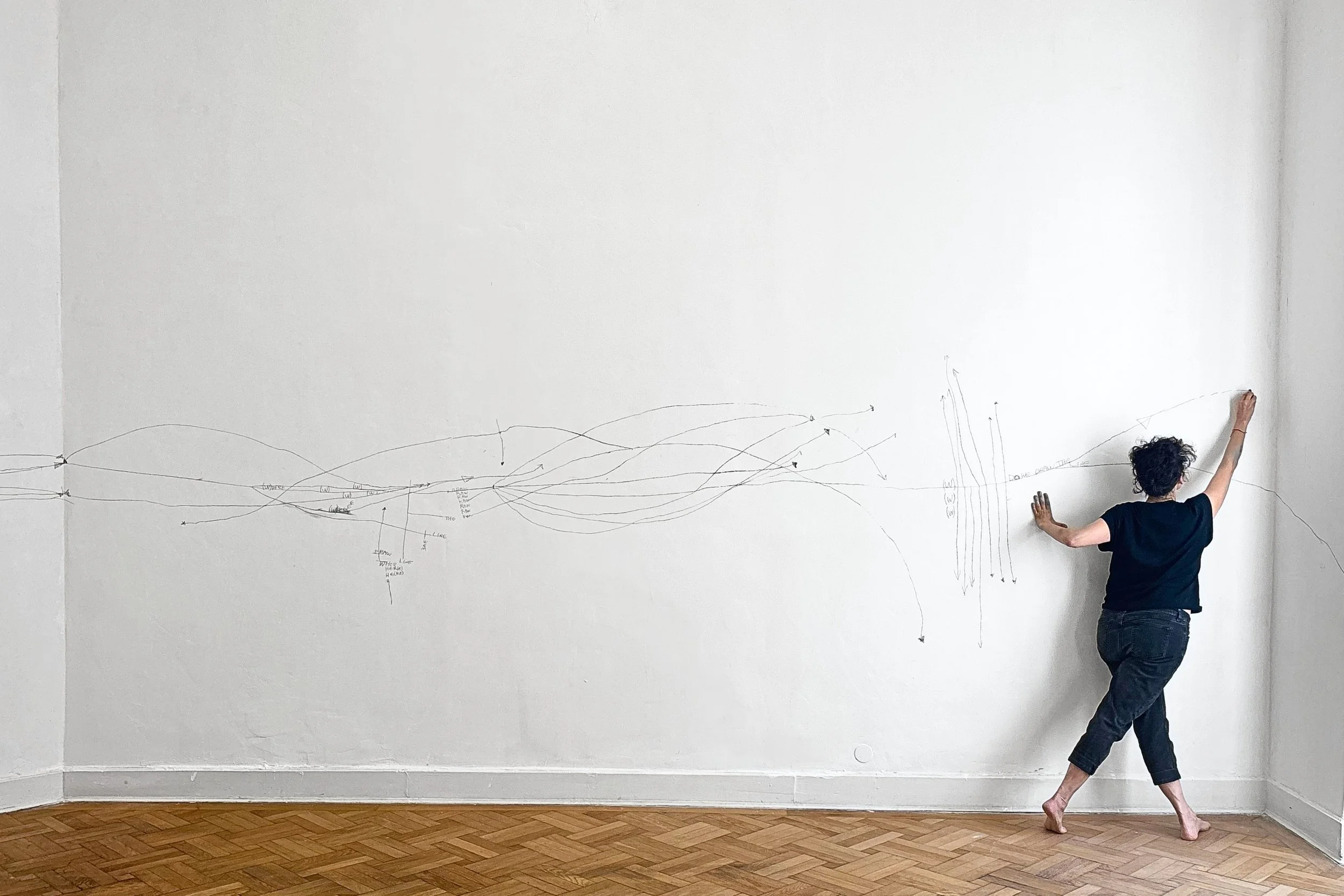 Ofri Cnaani, Where do we draw the line?, performance at MLZ
