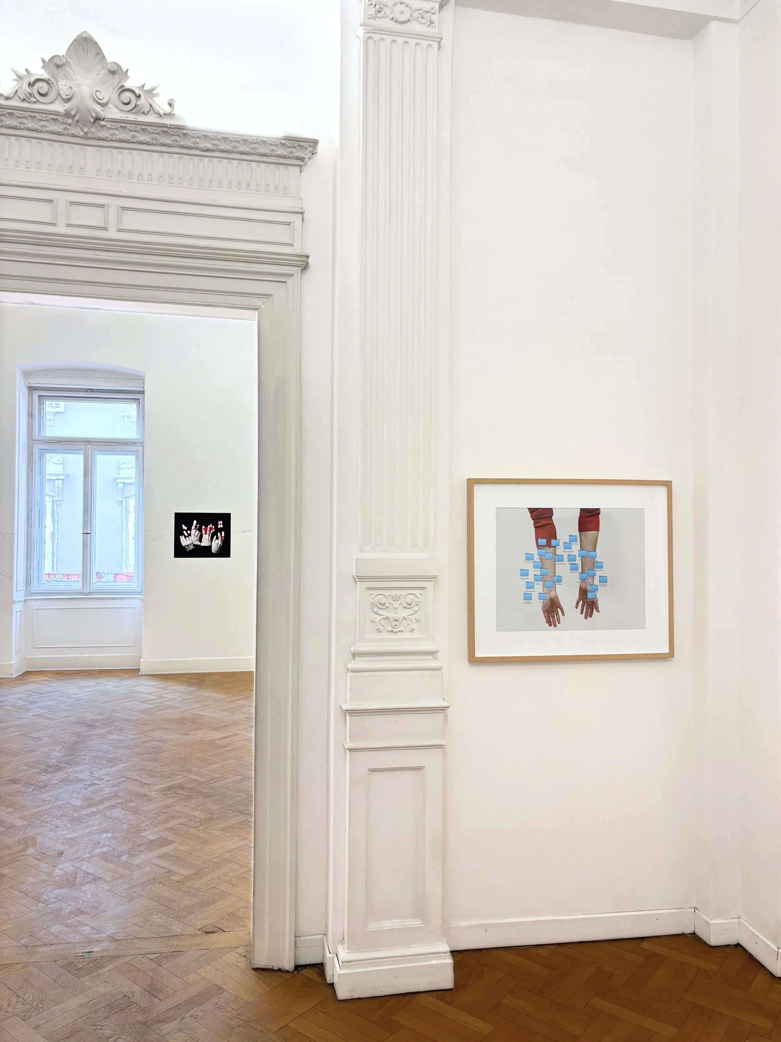 Ofri Cnaani, Exhibition view at MLZ, The Nervous System w. Alessandro Sambini, curated by Francesca Lazzarini
