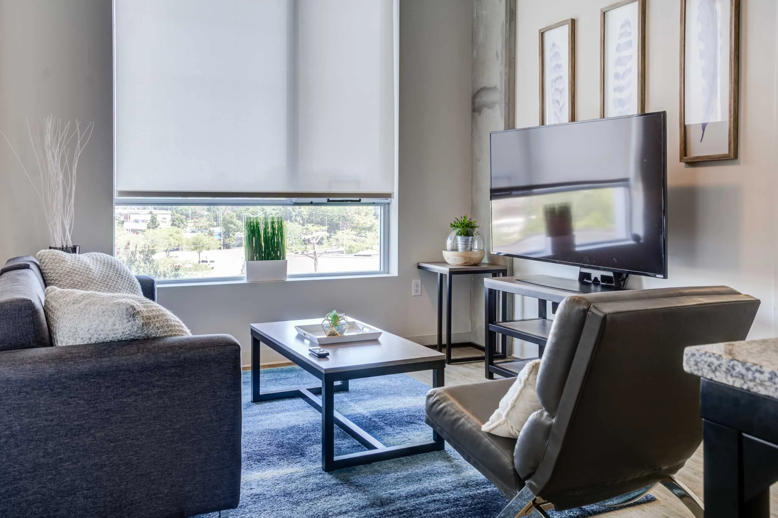 Everly on the Loop Apartments for Rent in St. Louis, MO