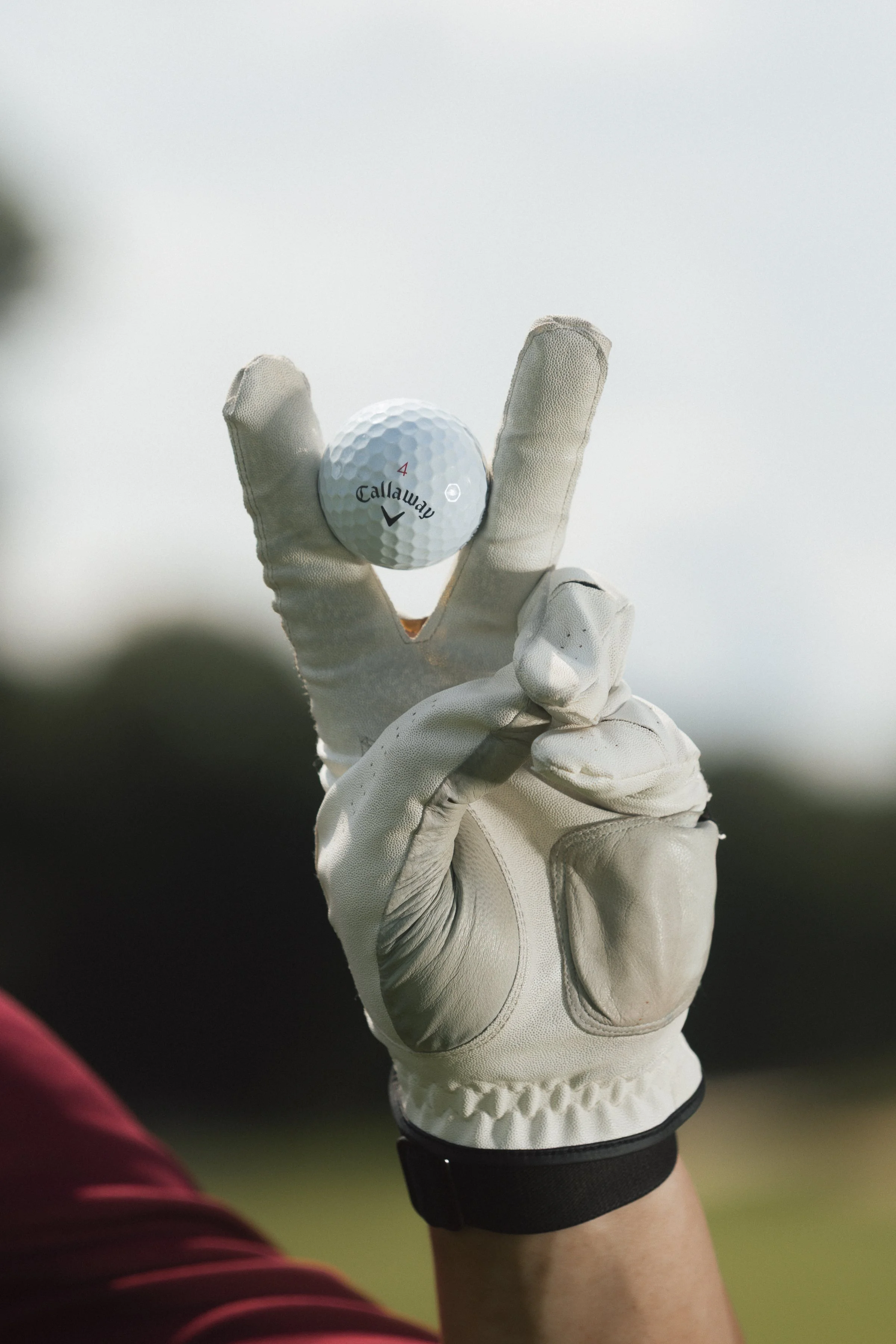 Golfouting-81.jpg