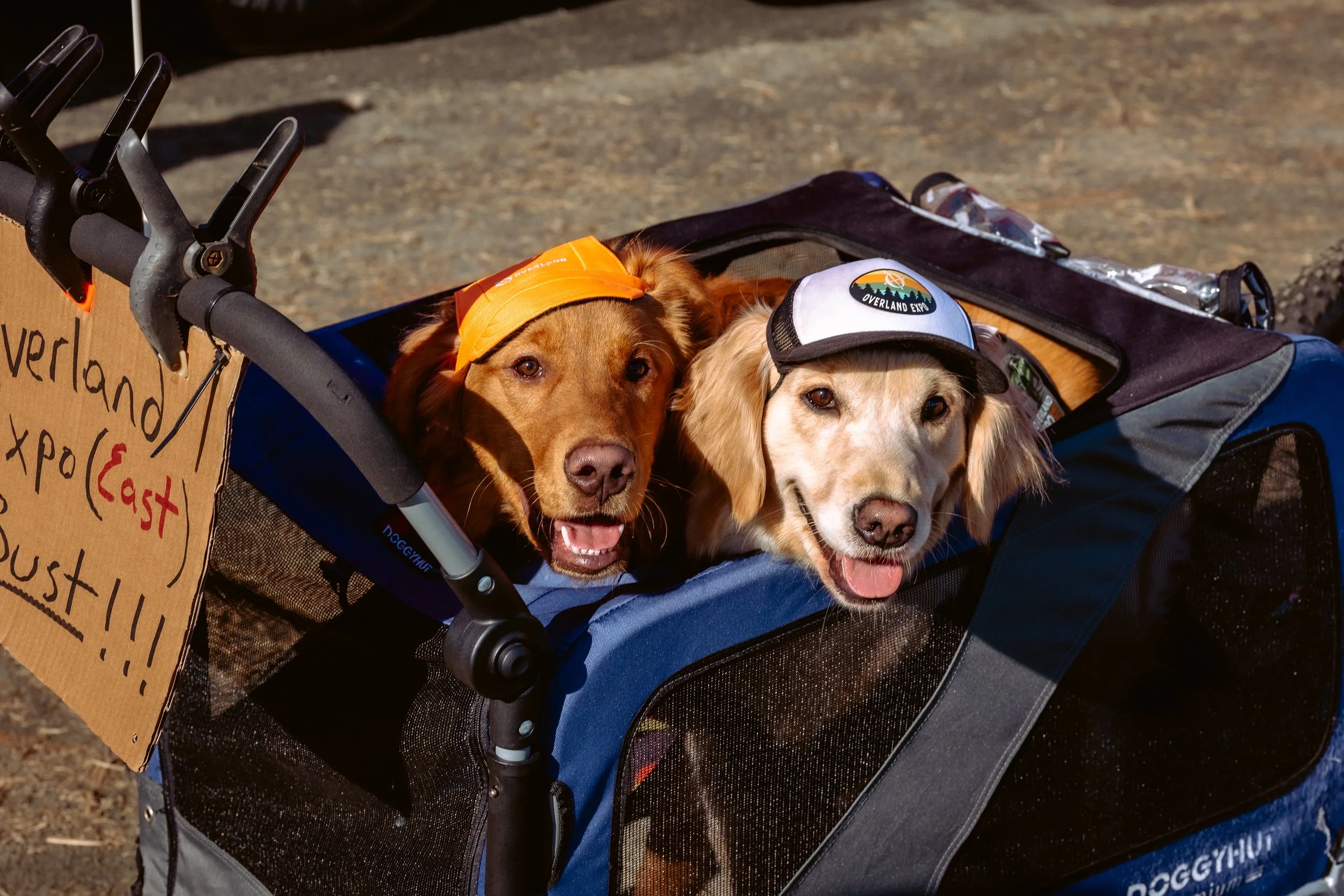 overlandeast_fri_hr-46.jpeg