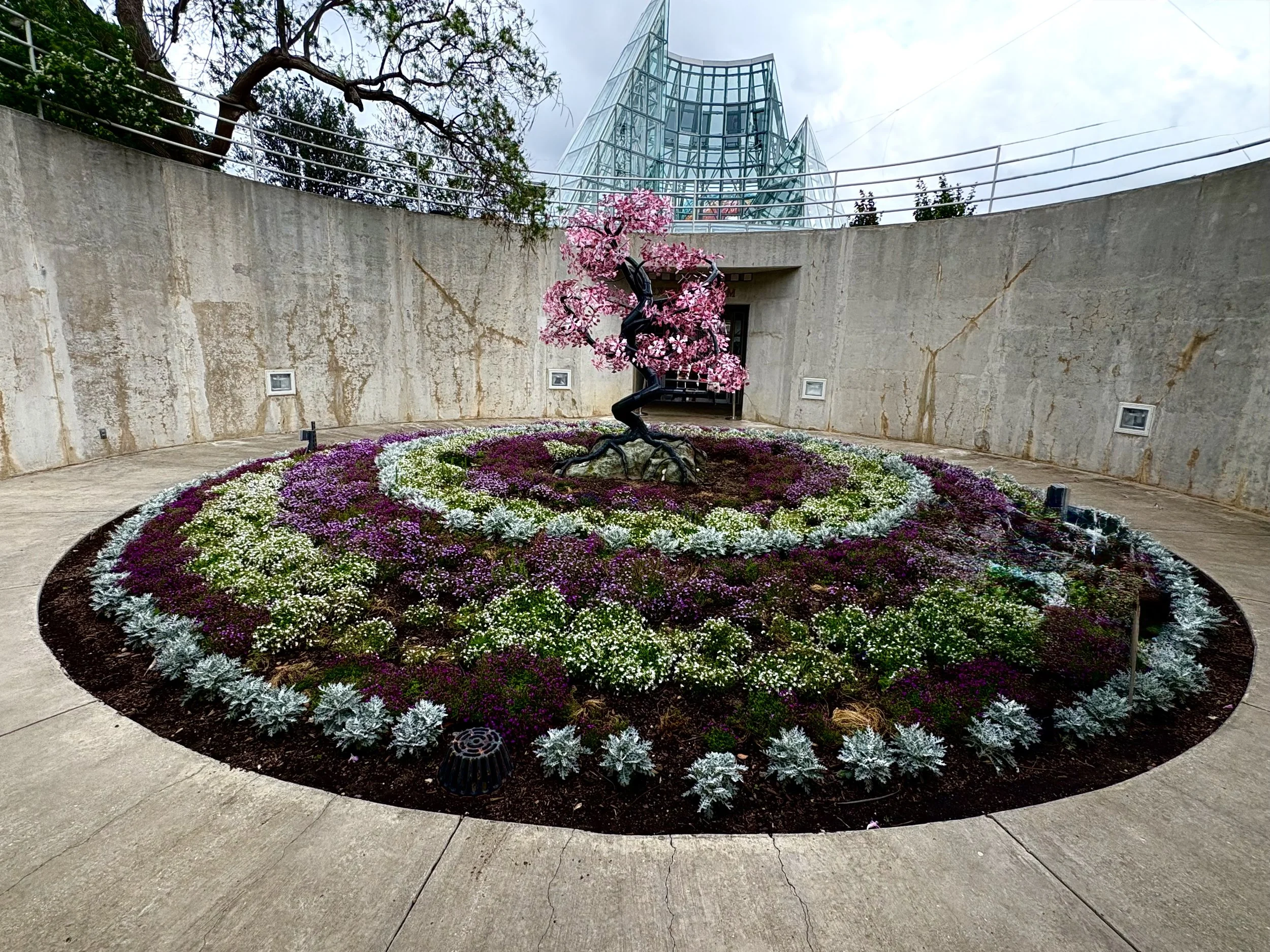 Spiral Blossom celebrates Cherry Blossom trees