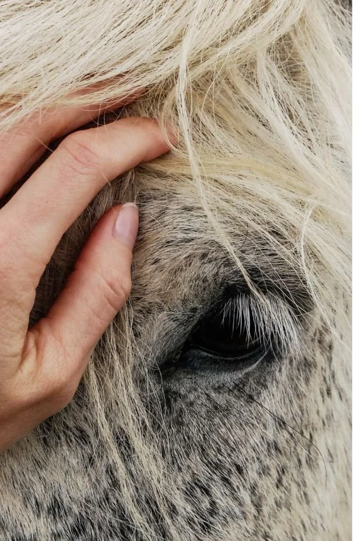 Mandali Leaders meeting