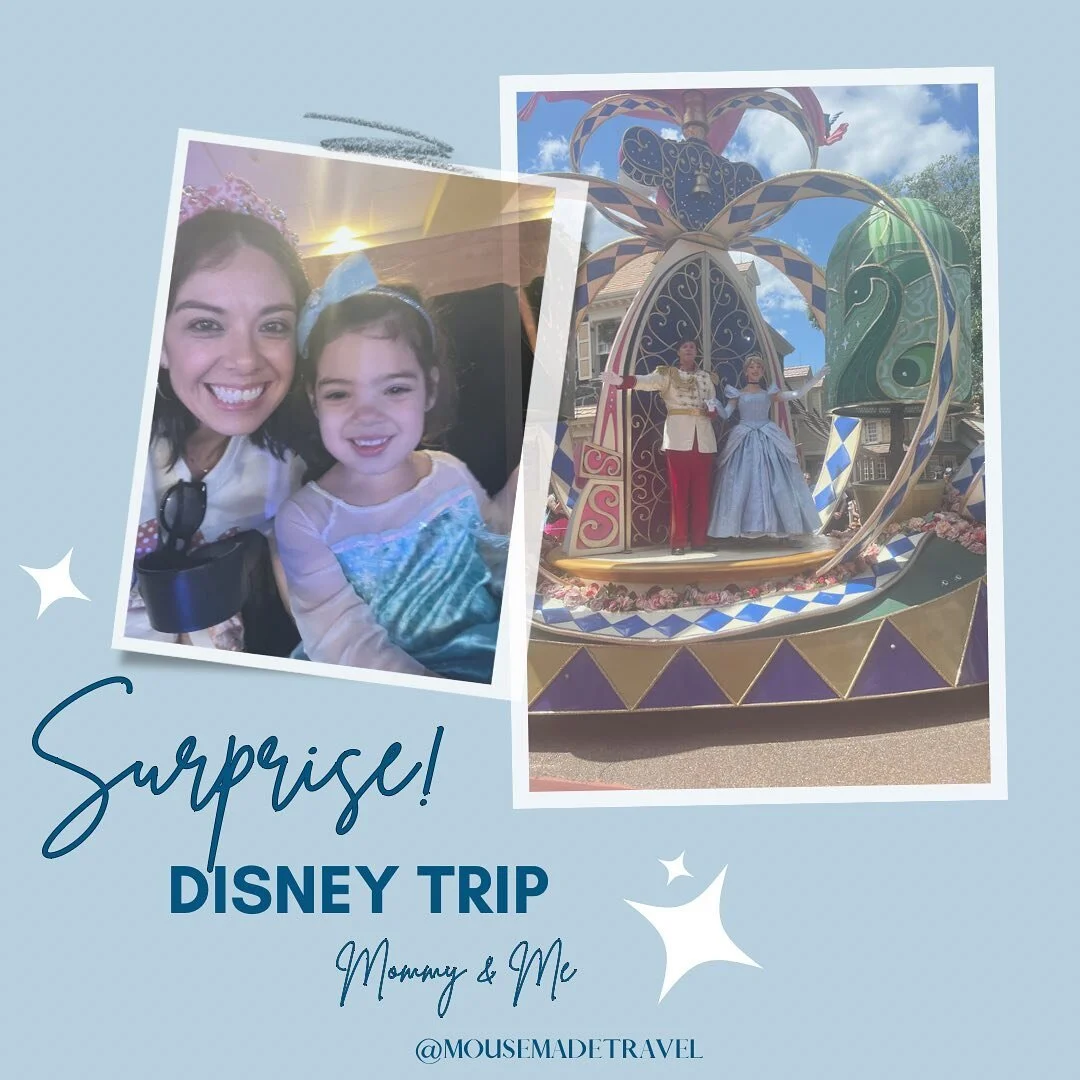 SURPRISE ! We are surprising our 4 year old daughter with a weekend trip to Walt Disney World !! I am a big advocate for taking your children to Walt Disney World when they are young because the magic is soooo real ! ✨This trip is about River and my 