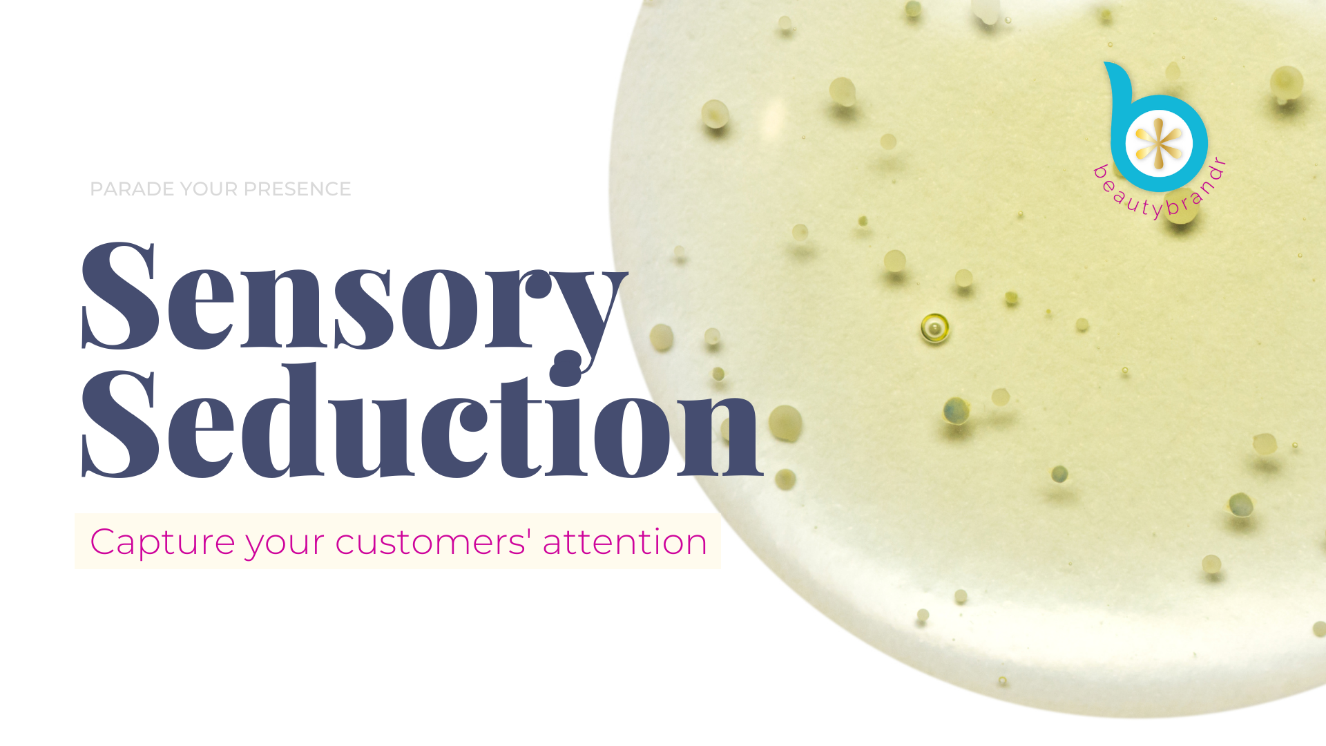 Critical Area Intro  Sensory Seduction.png