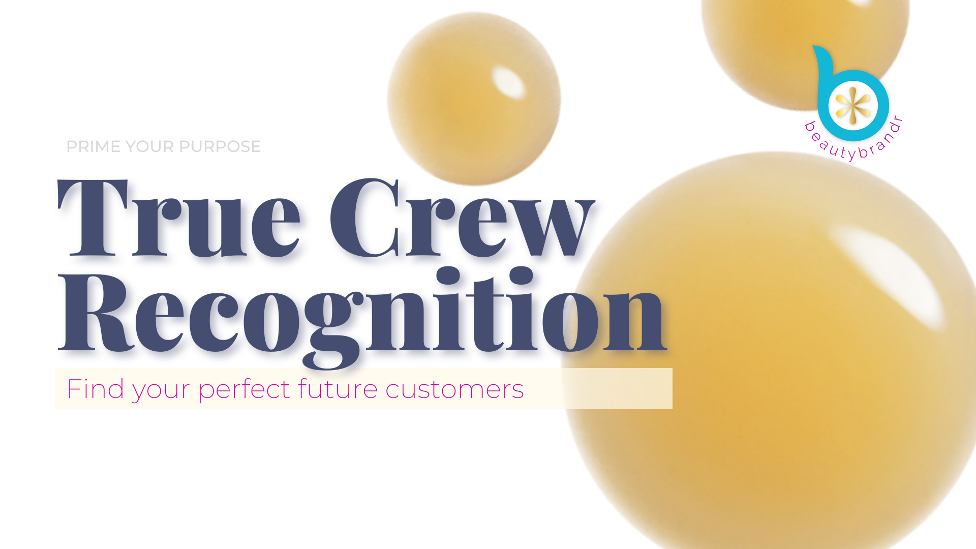 Critical Area Intro  TRUE CREW RECOGNITION.png