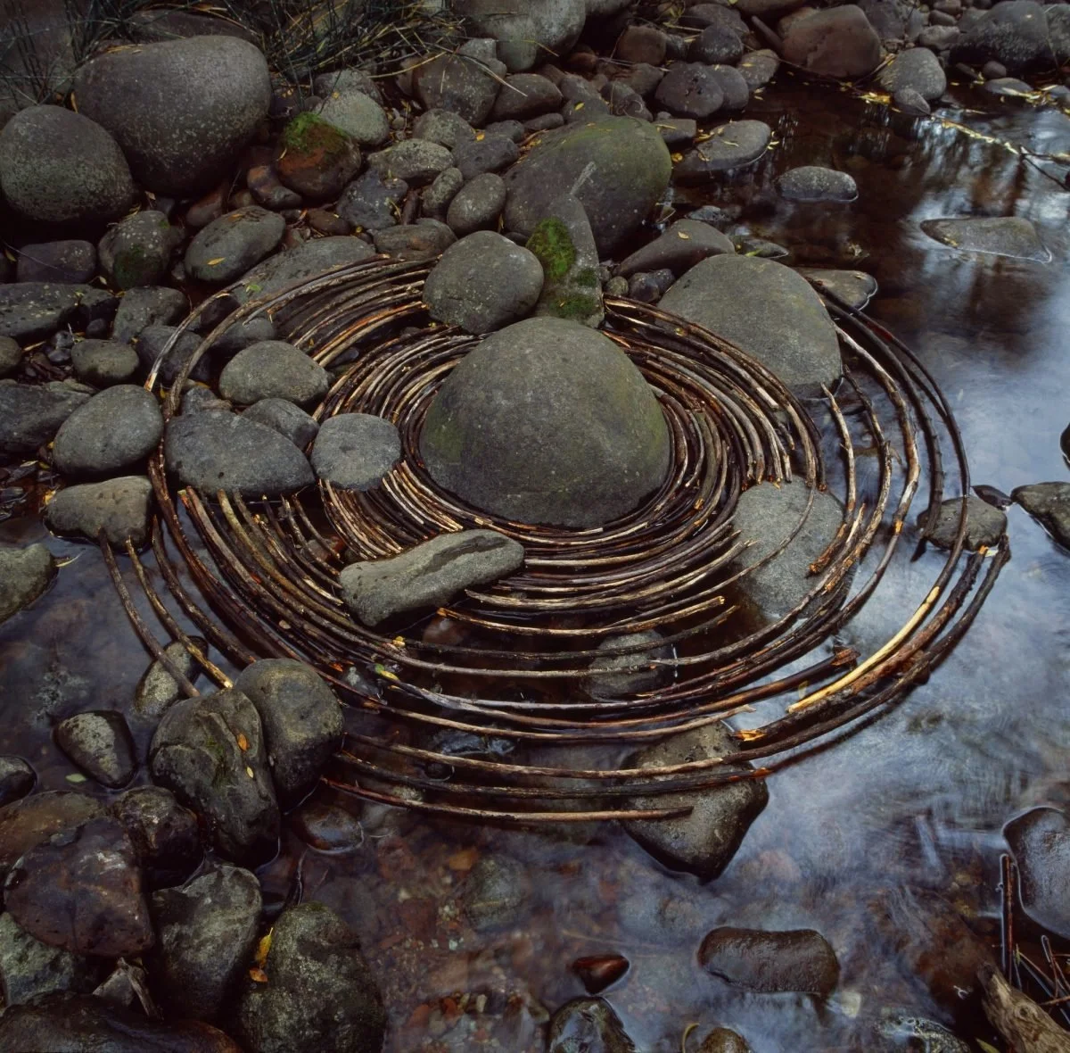 The Creative Dance of Time: Managing Your Life with Intention.