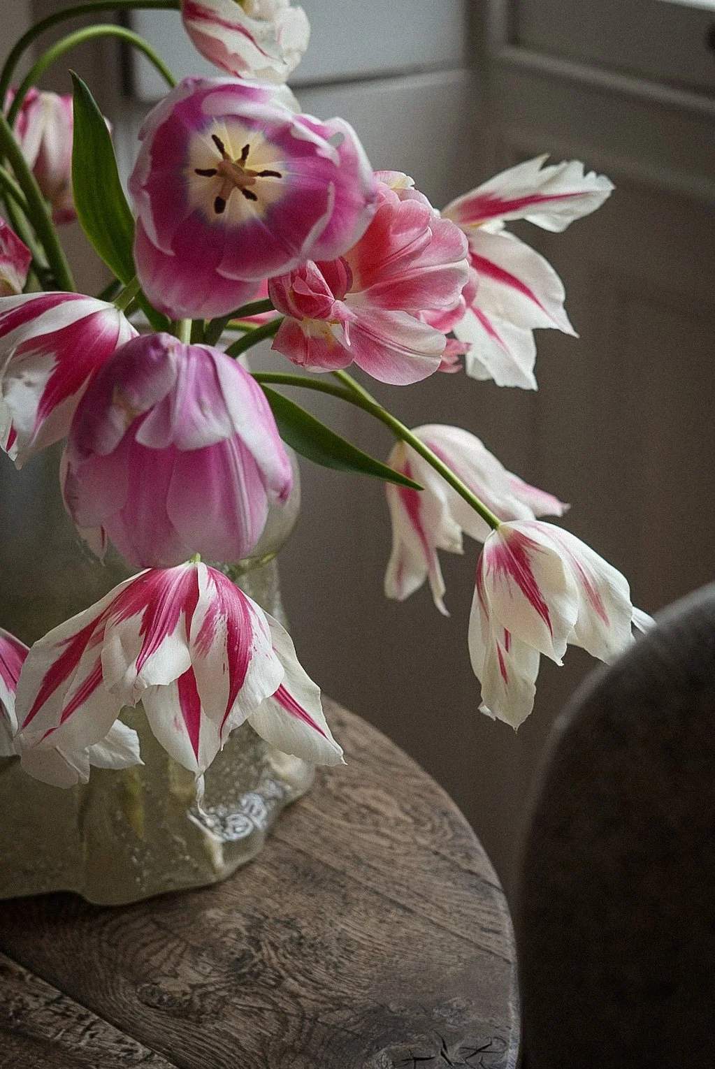 Copy of DSC02229.JPG