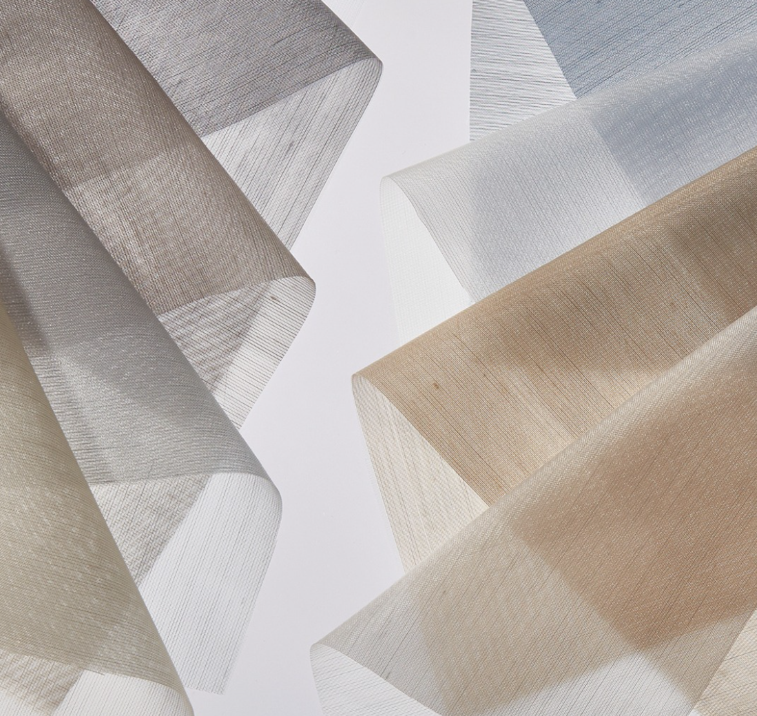 Camira 2.PNG