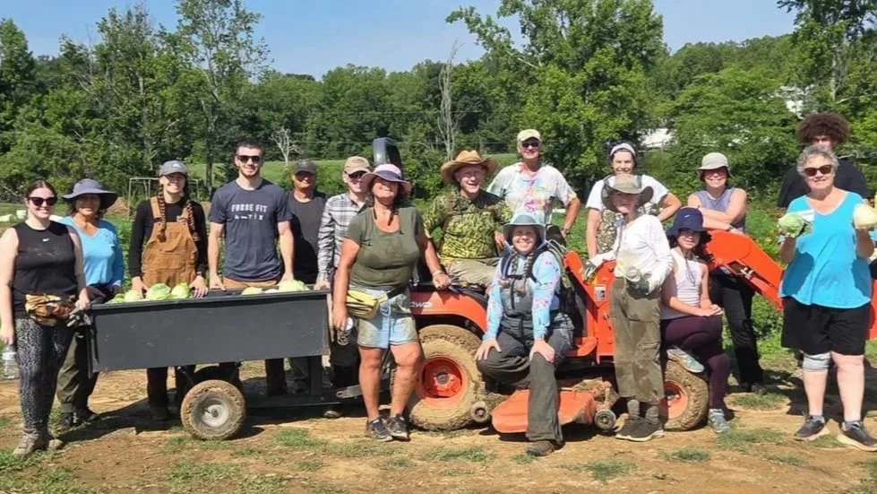 Reducing Food Insecurity Through Sustainable Farming