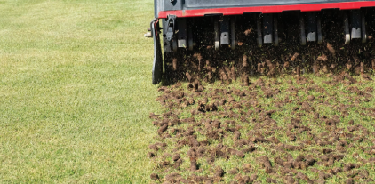 Why Fall is the Perfect Time to Aerate Your Lawn