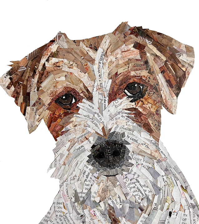 PET_JackRussell_Web copy.png