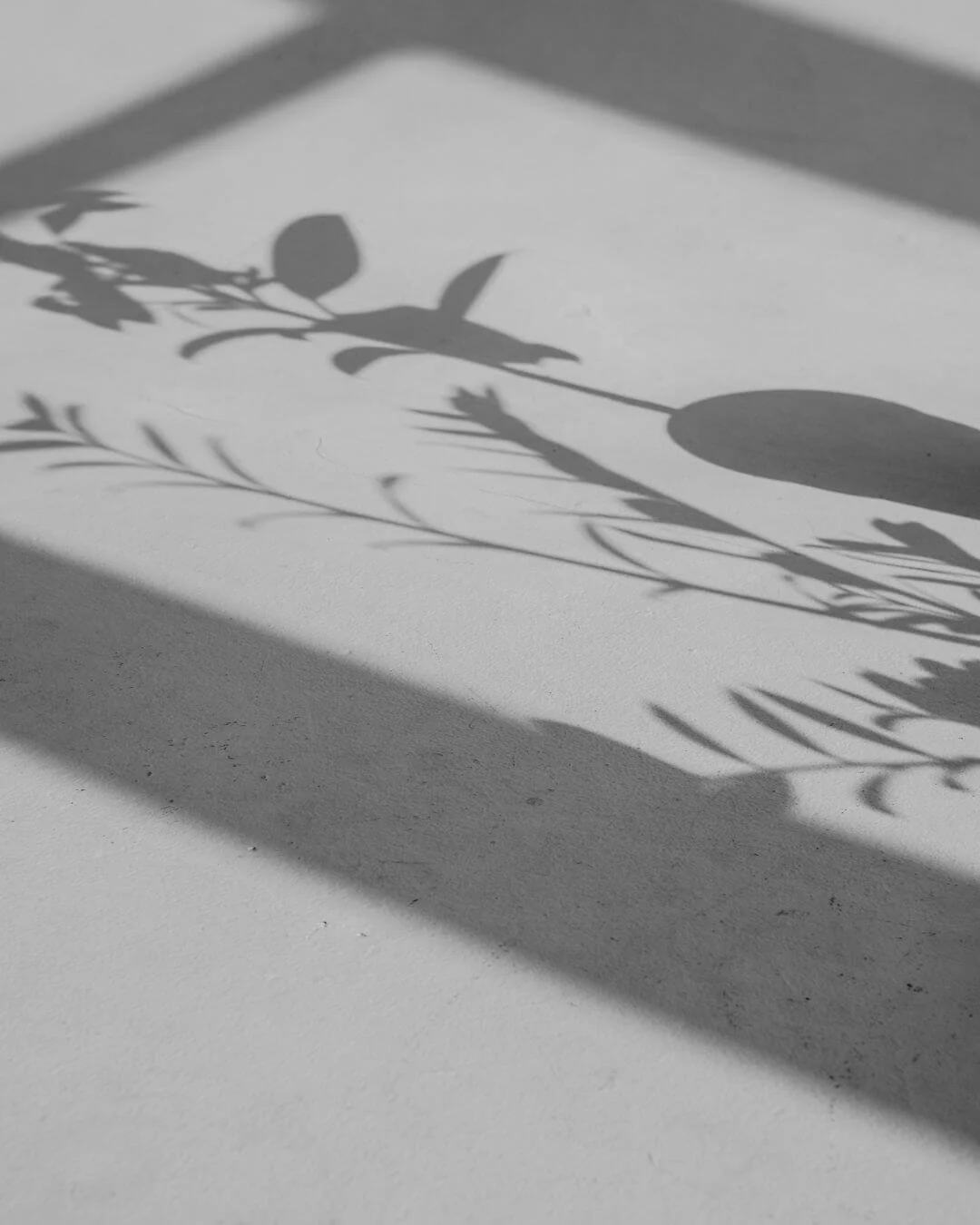 shadows representing shadow side of self