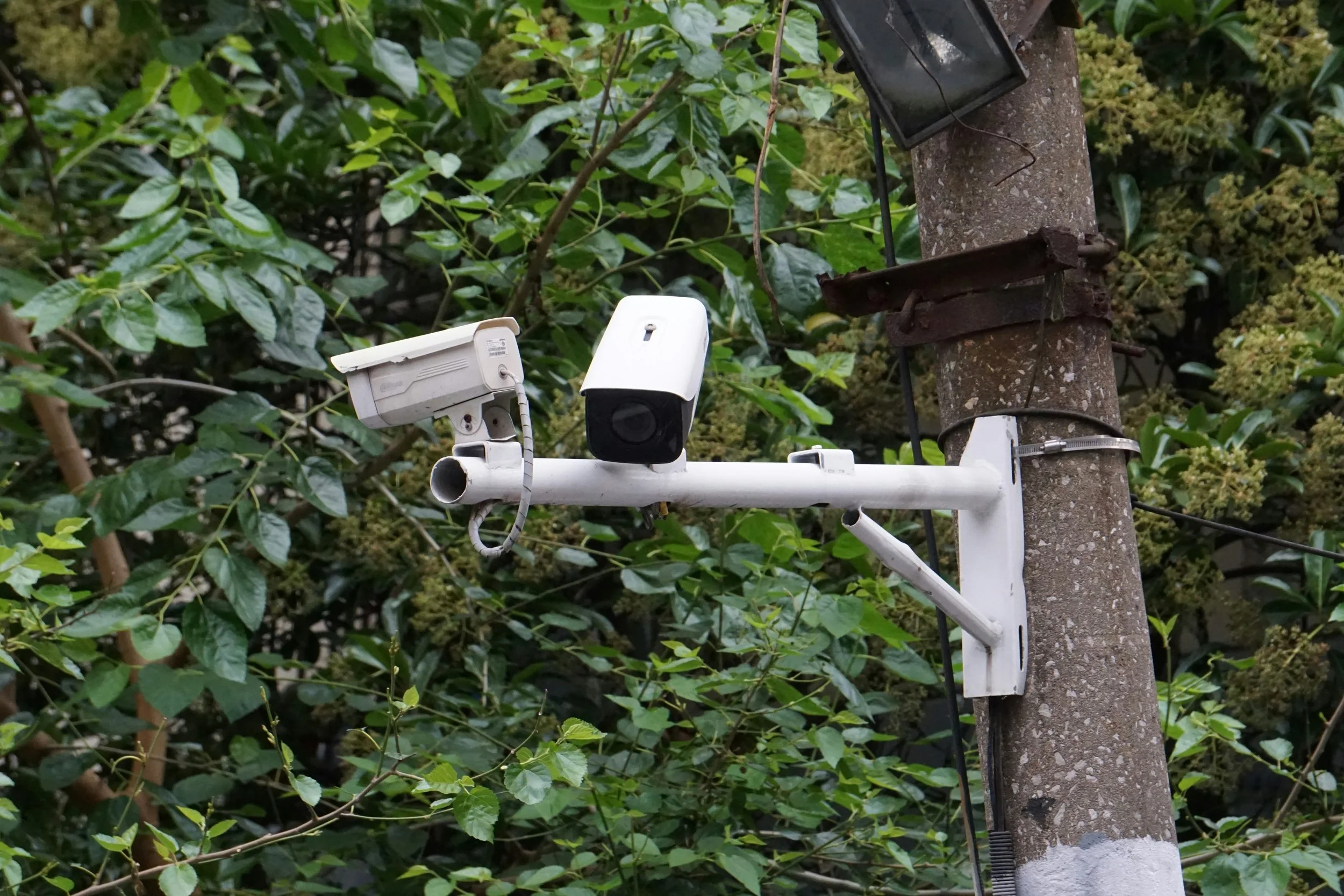 Navigating Data Privacy Laws: What Marketing Agencies Need to Know in 2024
