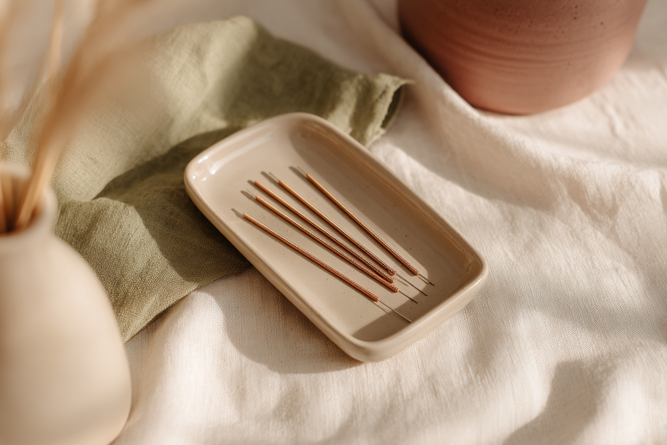 A ceramic tray holding five sewing needles.