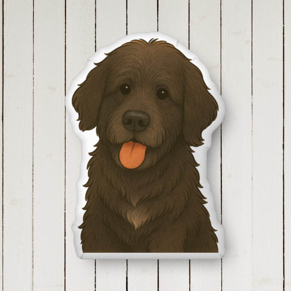 custom-shaped-pillow-22x22-front-6a511ef4b5ffb.png