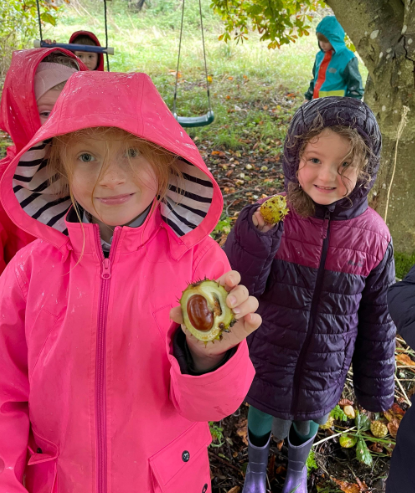 Looking for signs of Autumn.PNG