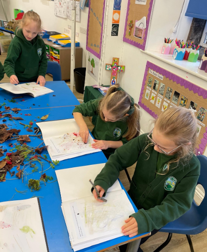 Using nature to explore line and texture in Art..PNG