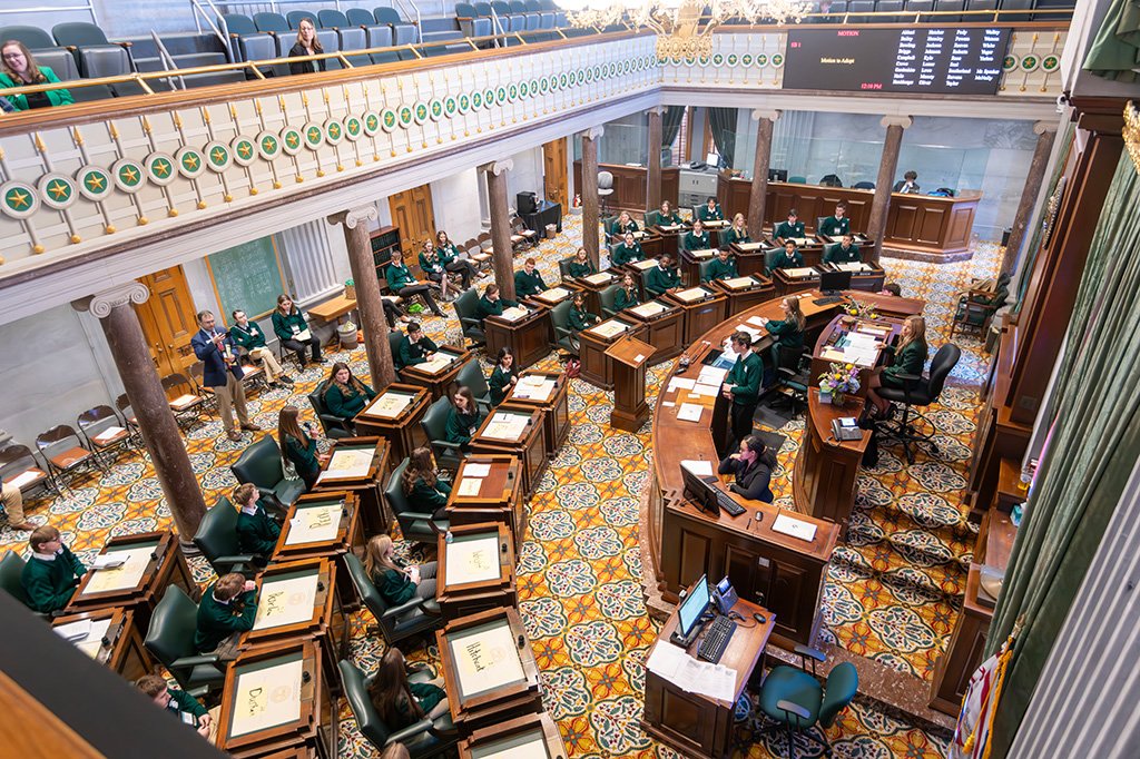 The senate overview2 copy.jpg