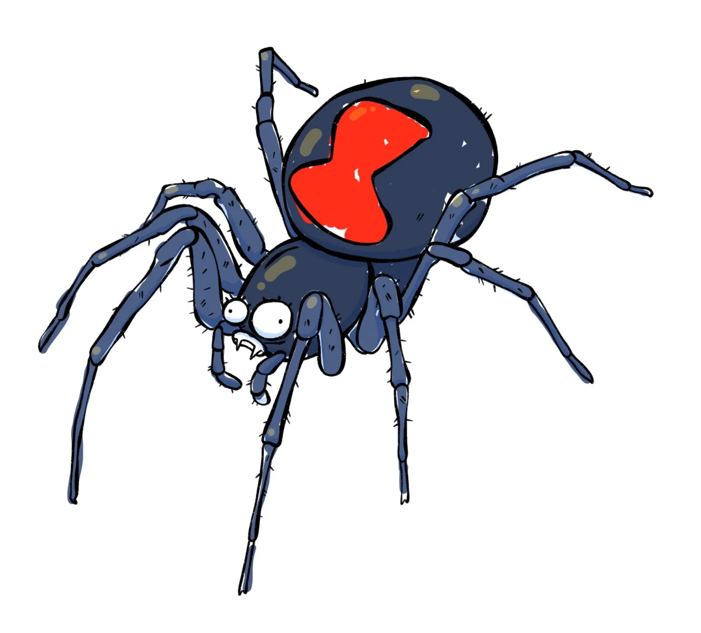 Spider facts: the good, weird and wonderful