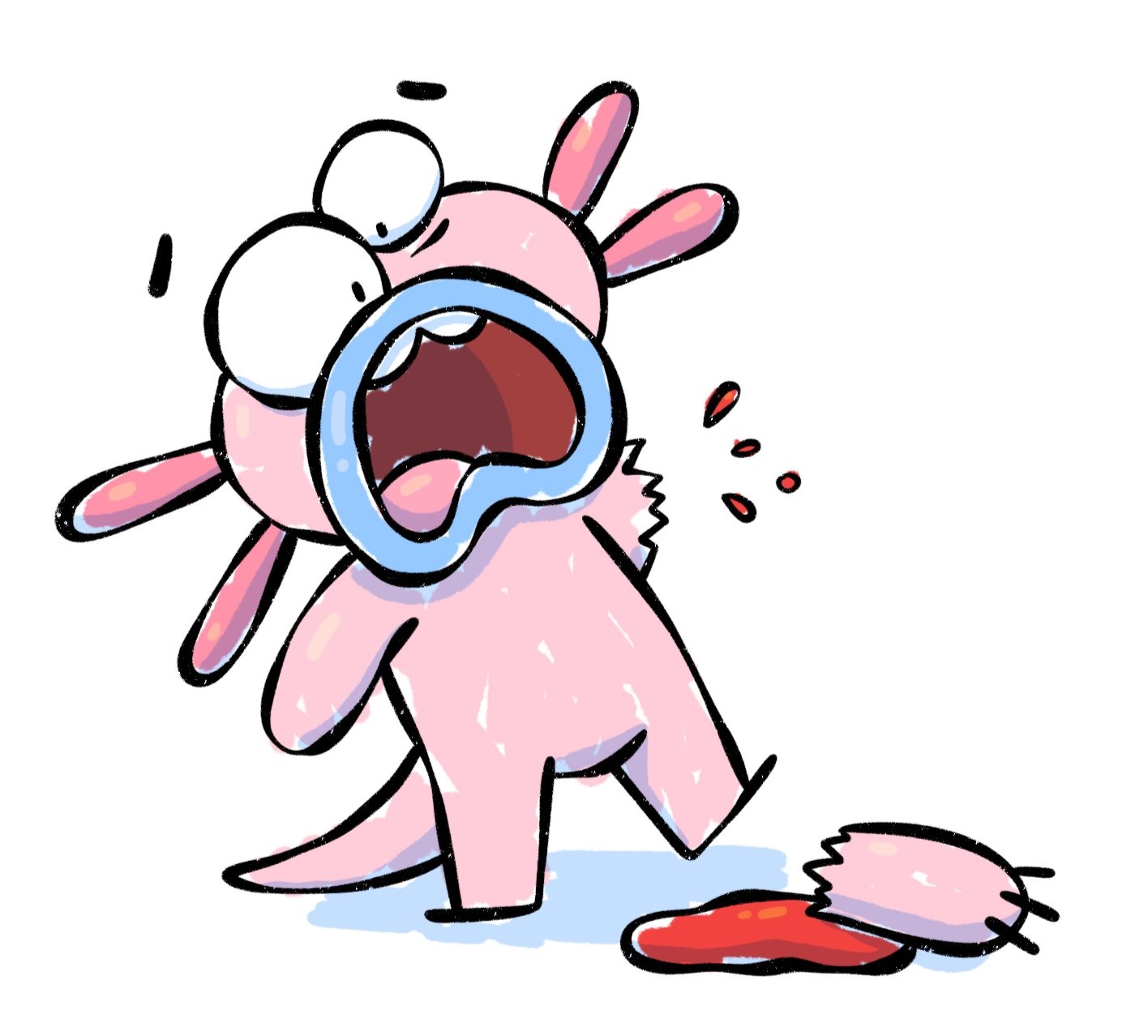 Axolotl regenerating limb