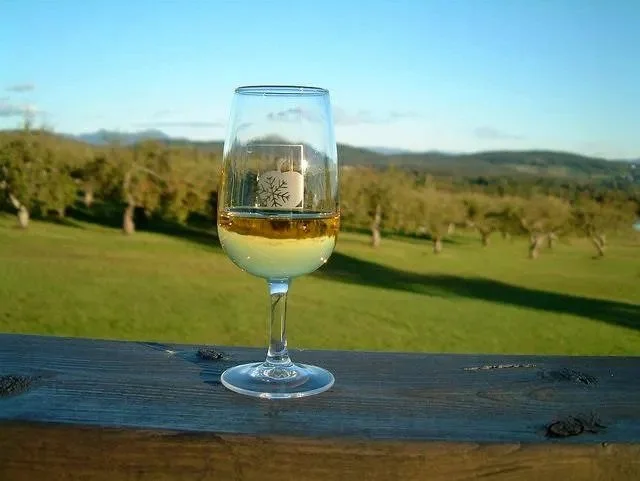 5 Ways To Accelerate The Launch Of Your New Brand