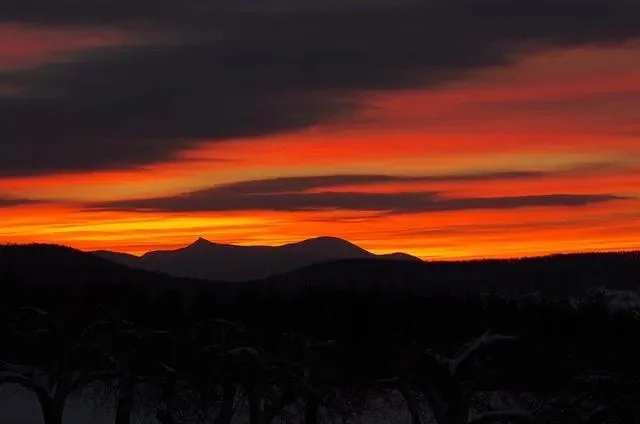 The Morning After The Big Move: We're In Business