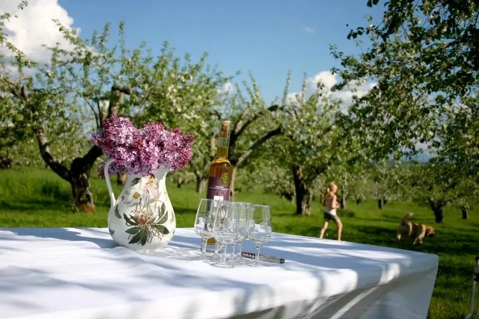 The Big Move: Committing To Your Vision