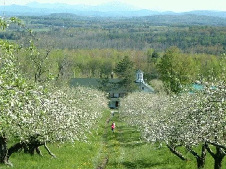 Starting A New Business? Sometimes You Just Need To Jump Into The Rabbit Hole