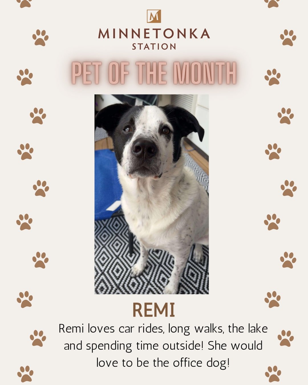 Our March Pet of Month is no other than Queen Remi! She never misses a treat when passing by the leasing desk. We love her and are so excited to have her be our March pet celebrity!