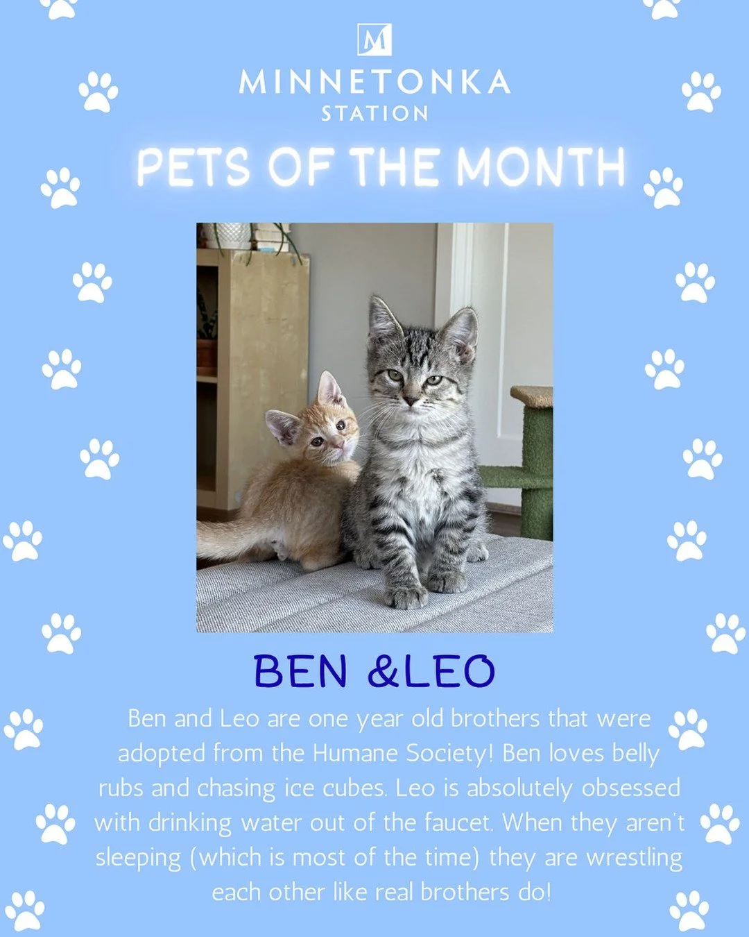 Ben and Leo - Our August Pets of the Month ❤️ We love our 4-legged friends here at Minnetonka Station!
