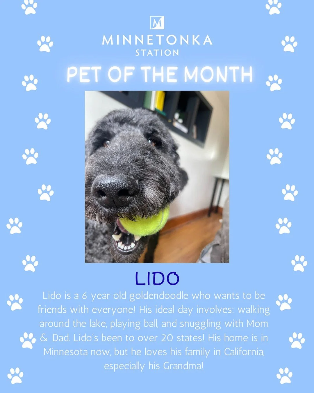 Pet of the Month - Lido