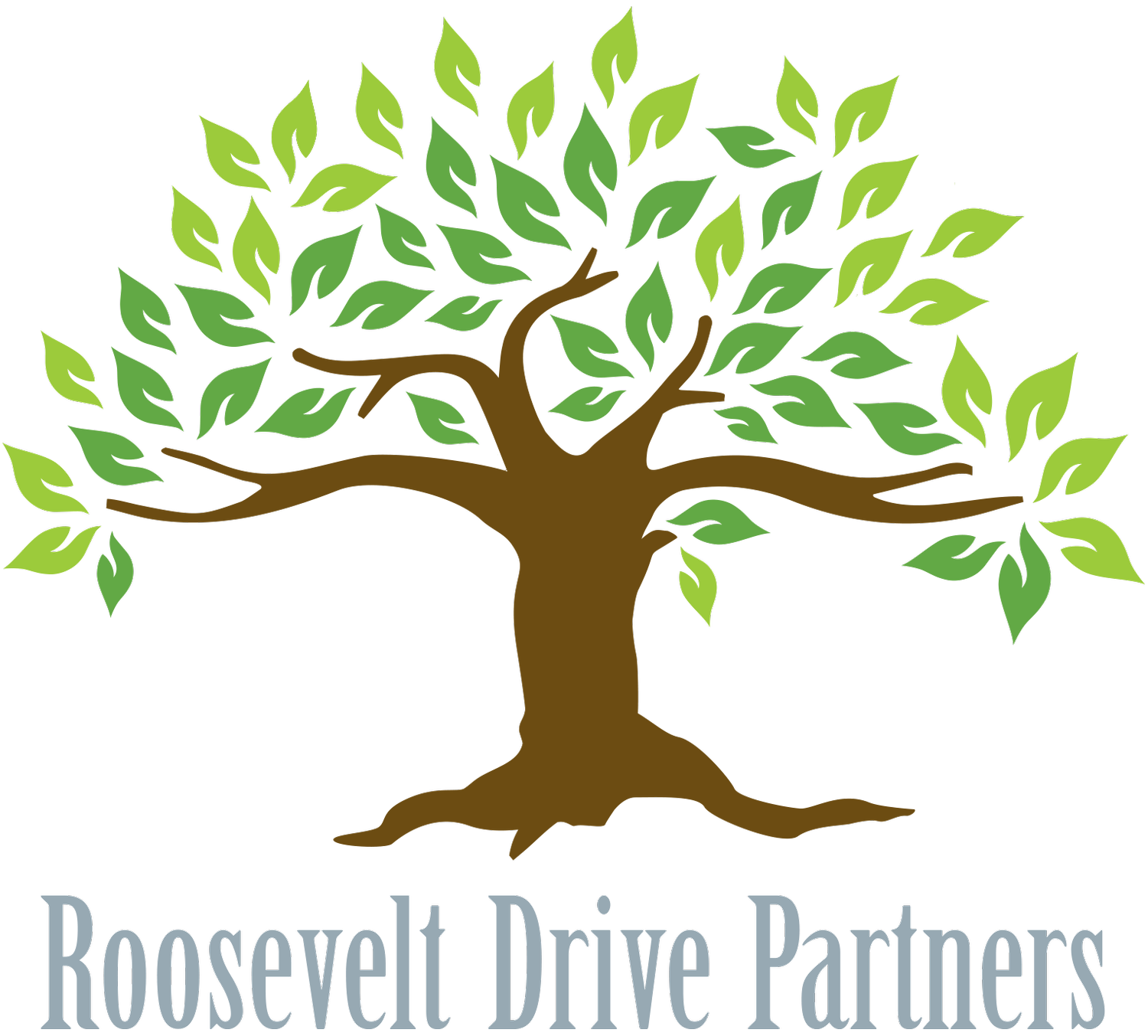 Roosevelt Drive Partners 
