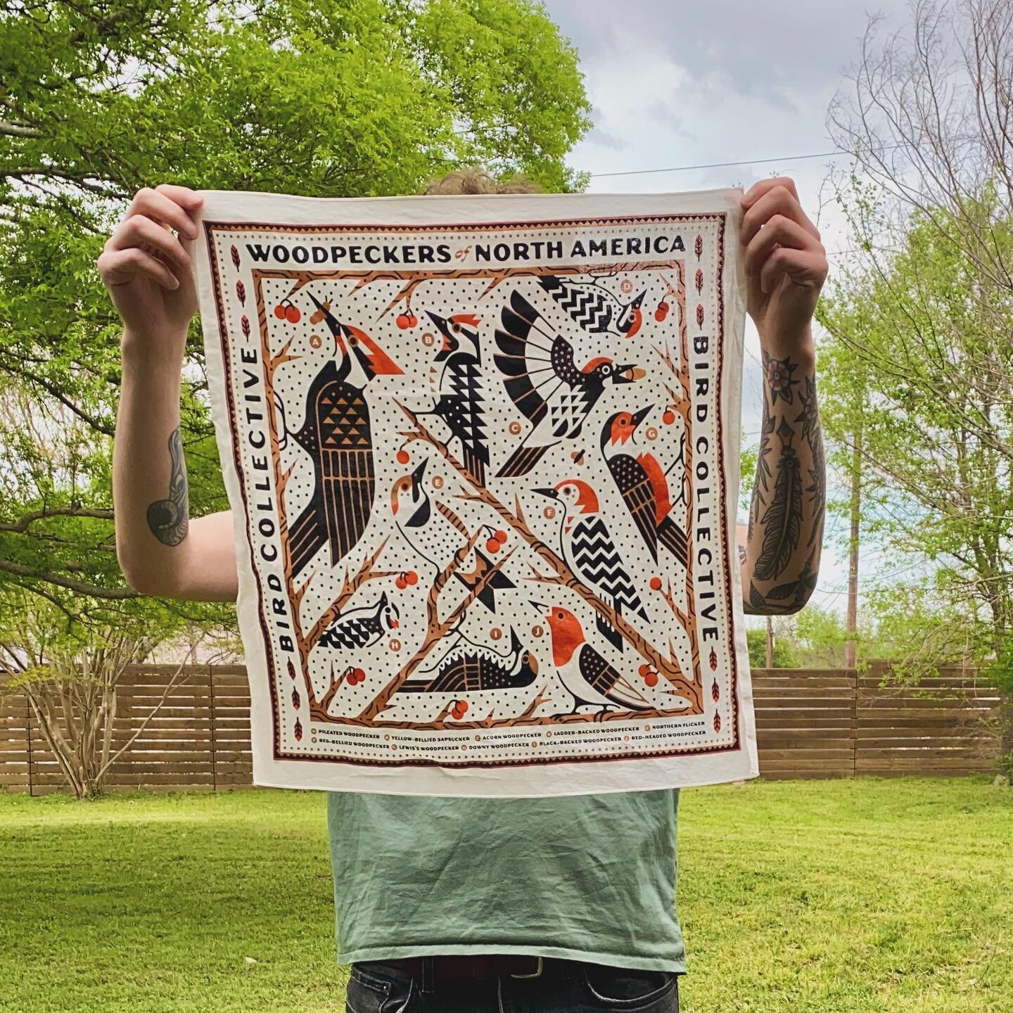 some product shots of my recent woodpecker collab with @birdcollective. I seriously love this shirt, if you see me wearing it ask me about my fav pecker (spoiler it&rsquo;s red-bellied)
.
.
.
.
.
#birdcollective #birding #illustrator #shirtdesign #ba