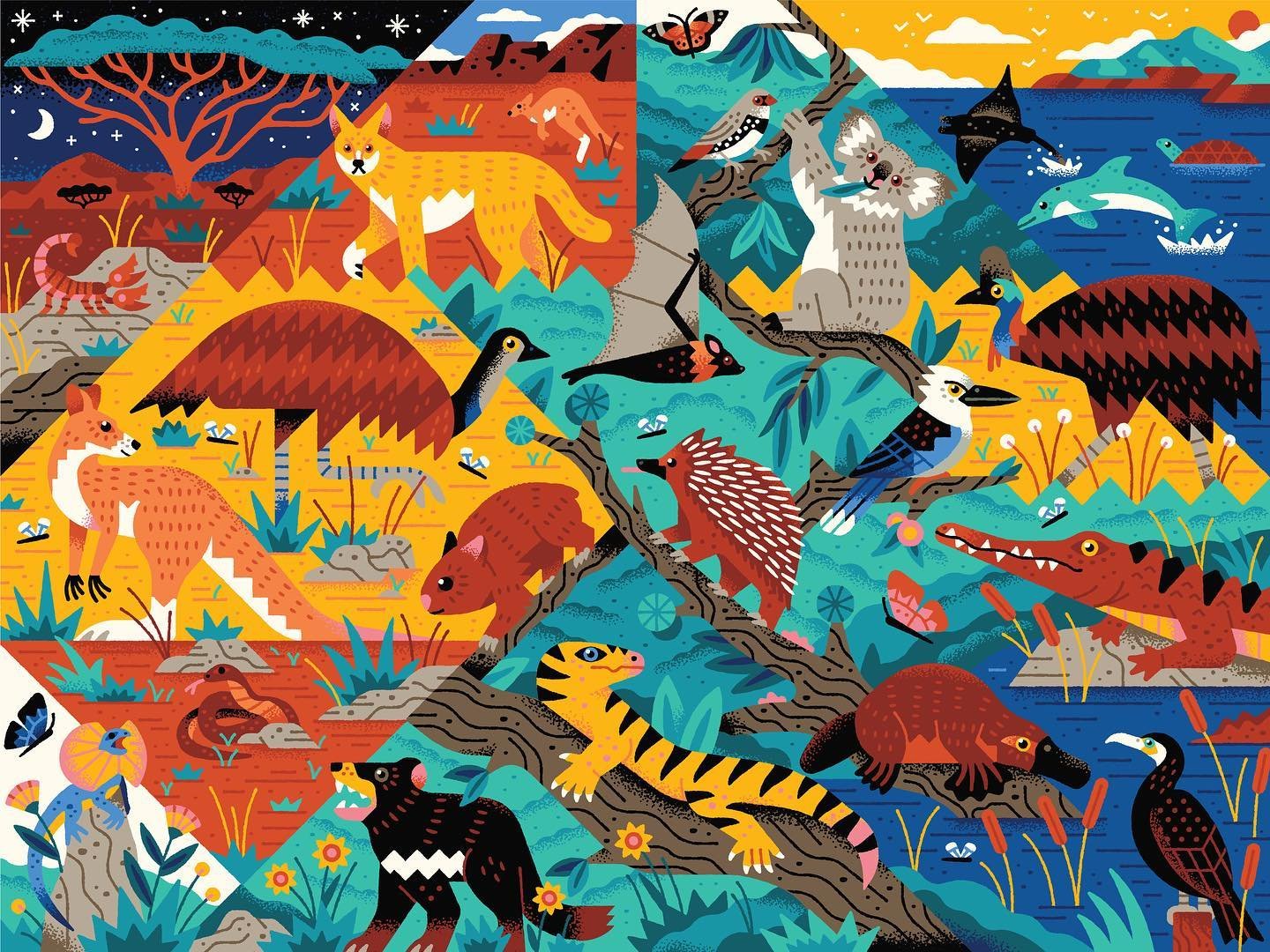 colorful scenes from down under. lots of unique animals for an upcoming kids project
.
.
.
.
.
#vectorillustration #illustration #illustrator #australia #australiananimals #truegrittexturesupply #vectorart