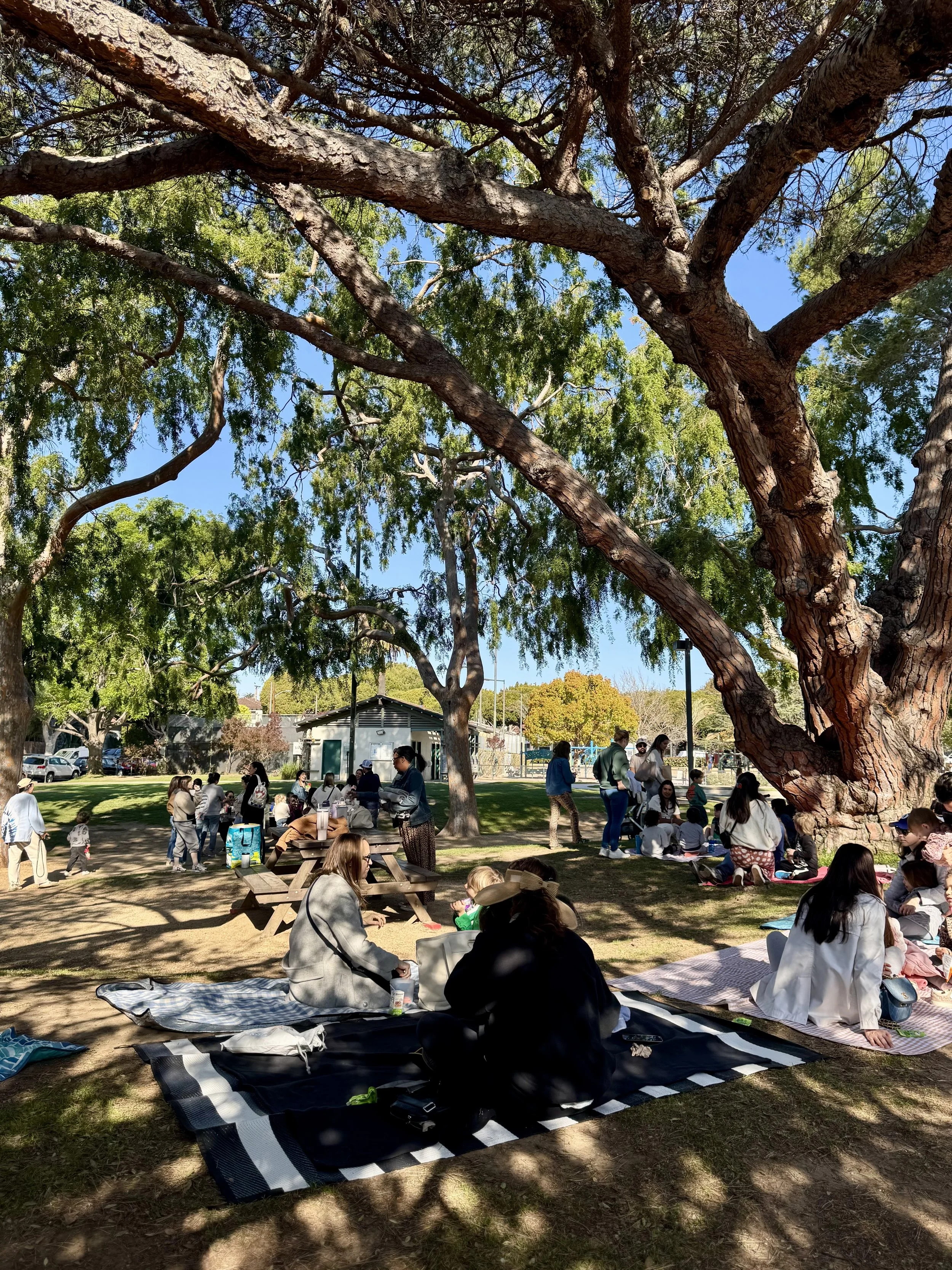 Families gathered for a picnic outdoors