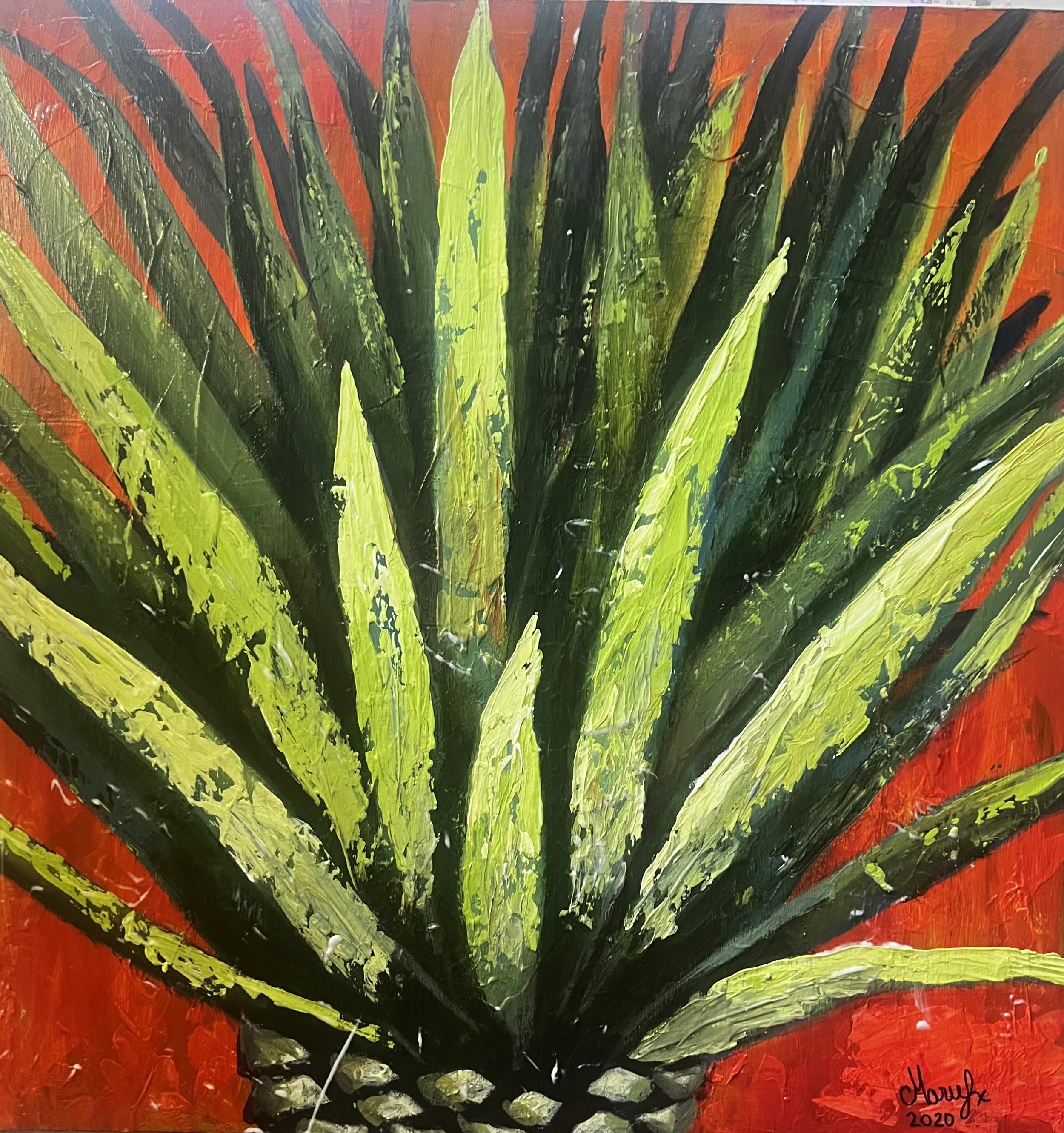Tequila Agave